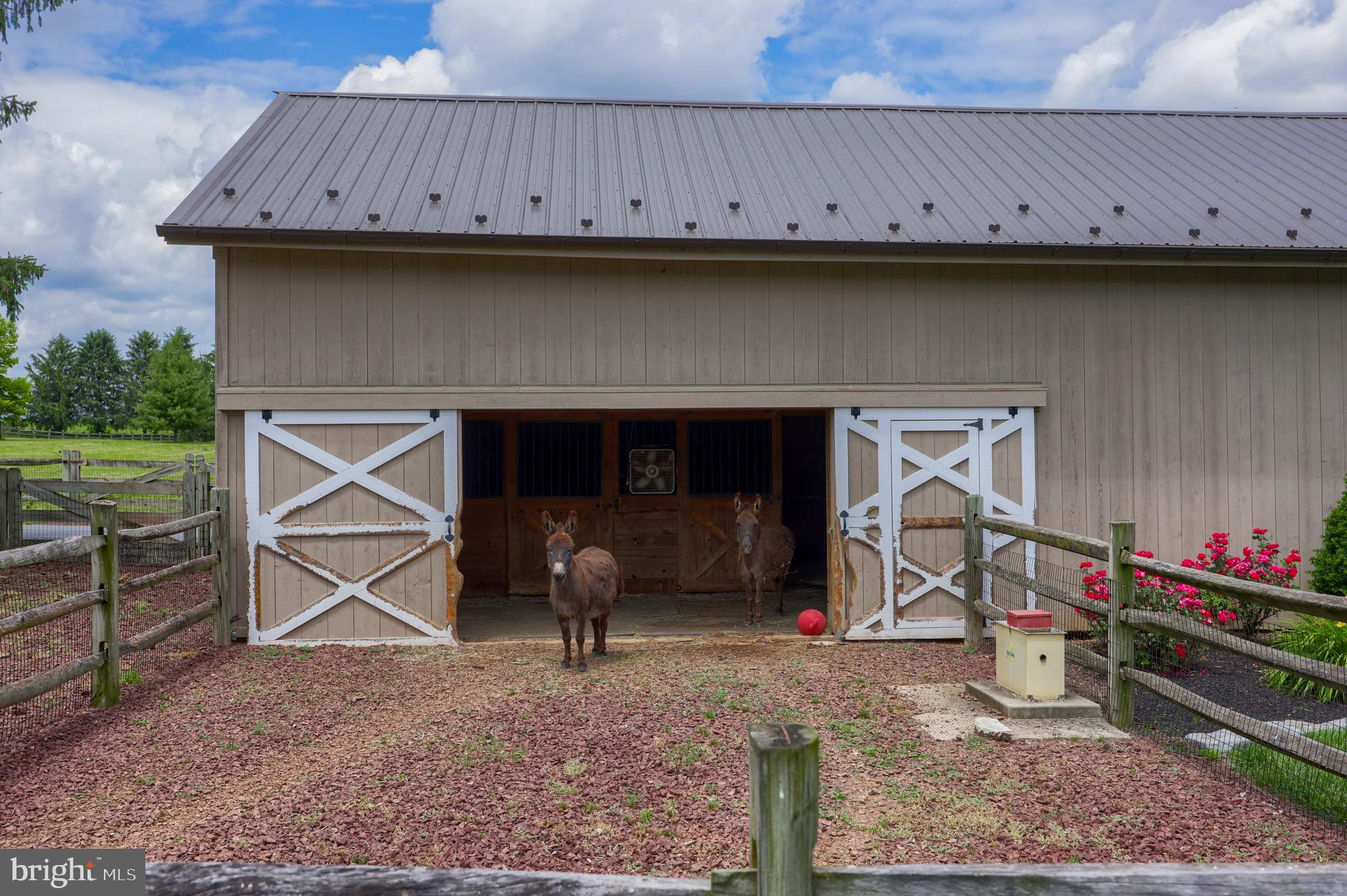 MOUNT JOY - Farm
