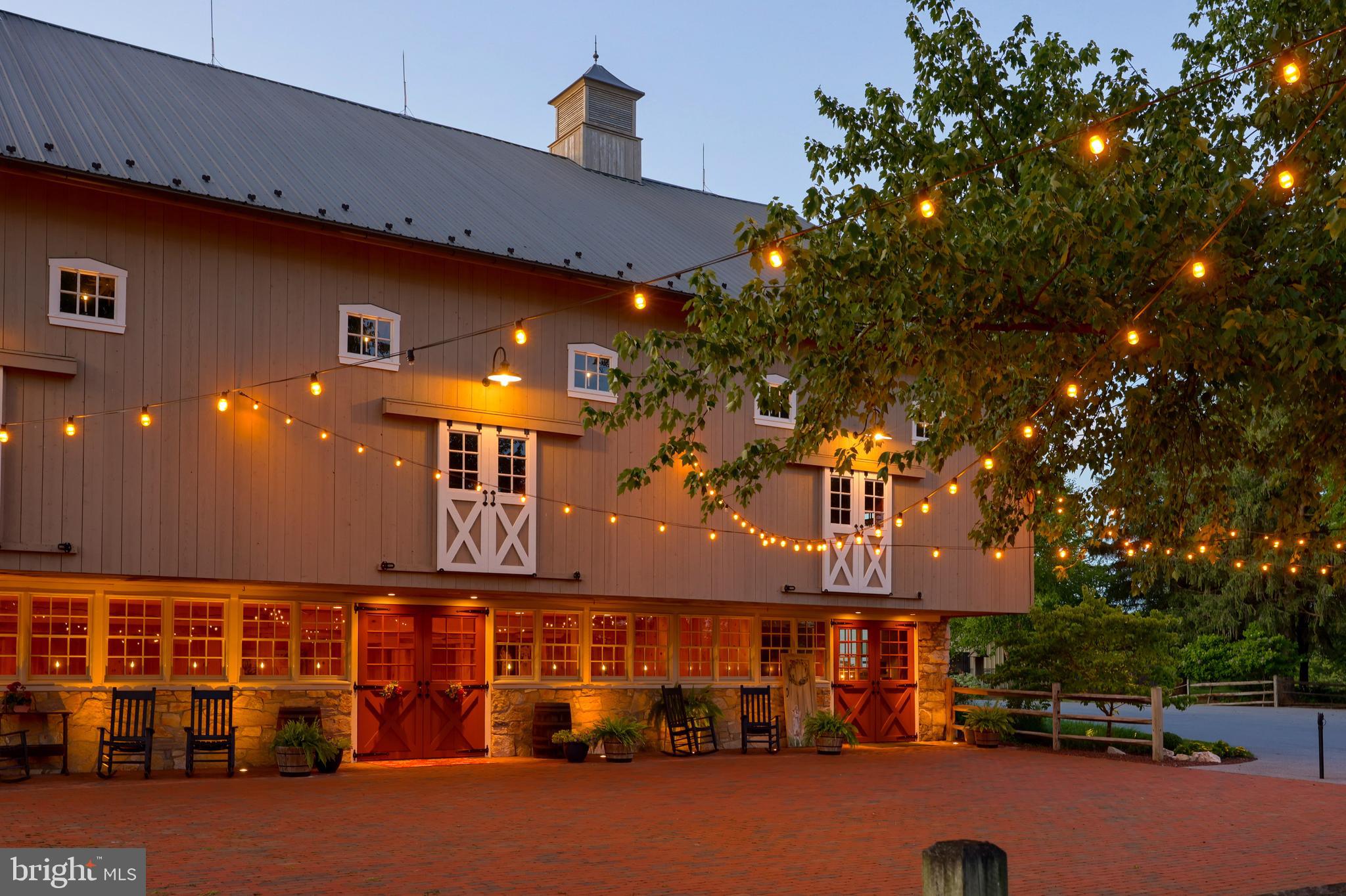 MOUNT JOY - Farm