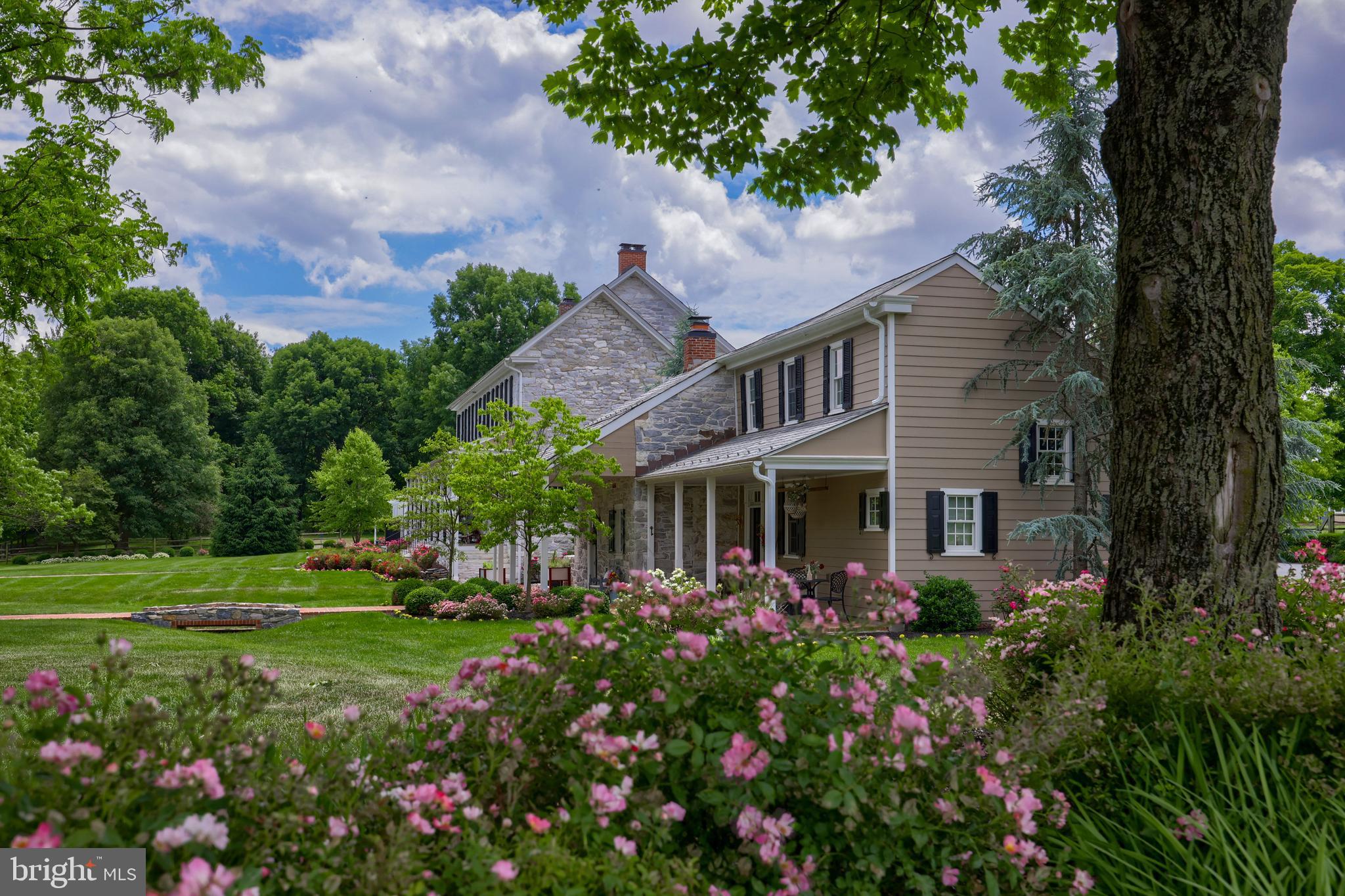 MOUNT JOY - Farm