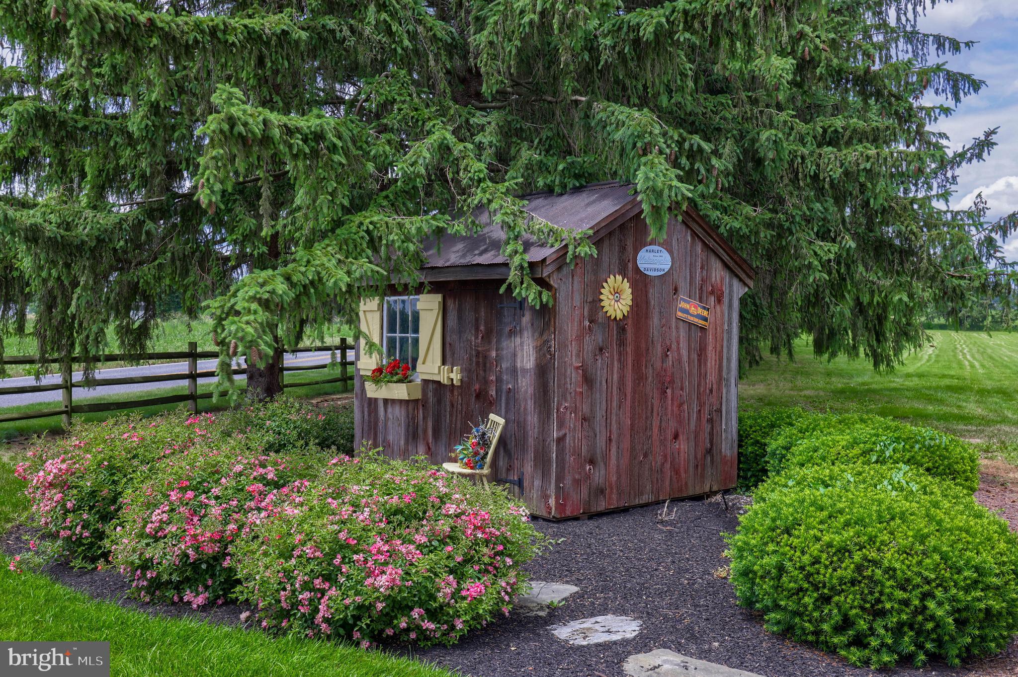 MOUNT JOY - Farm