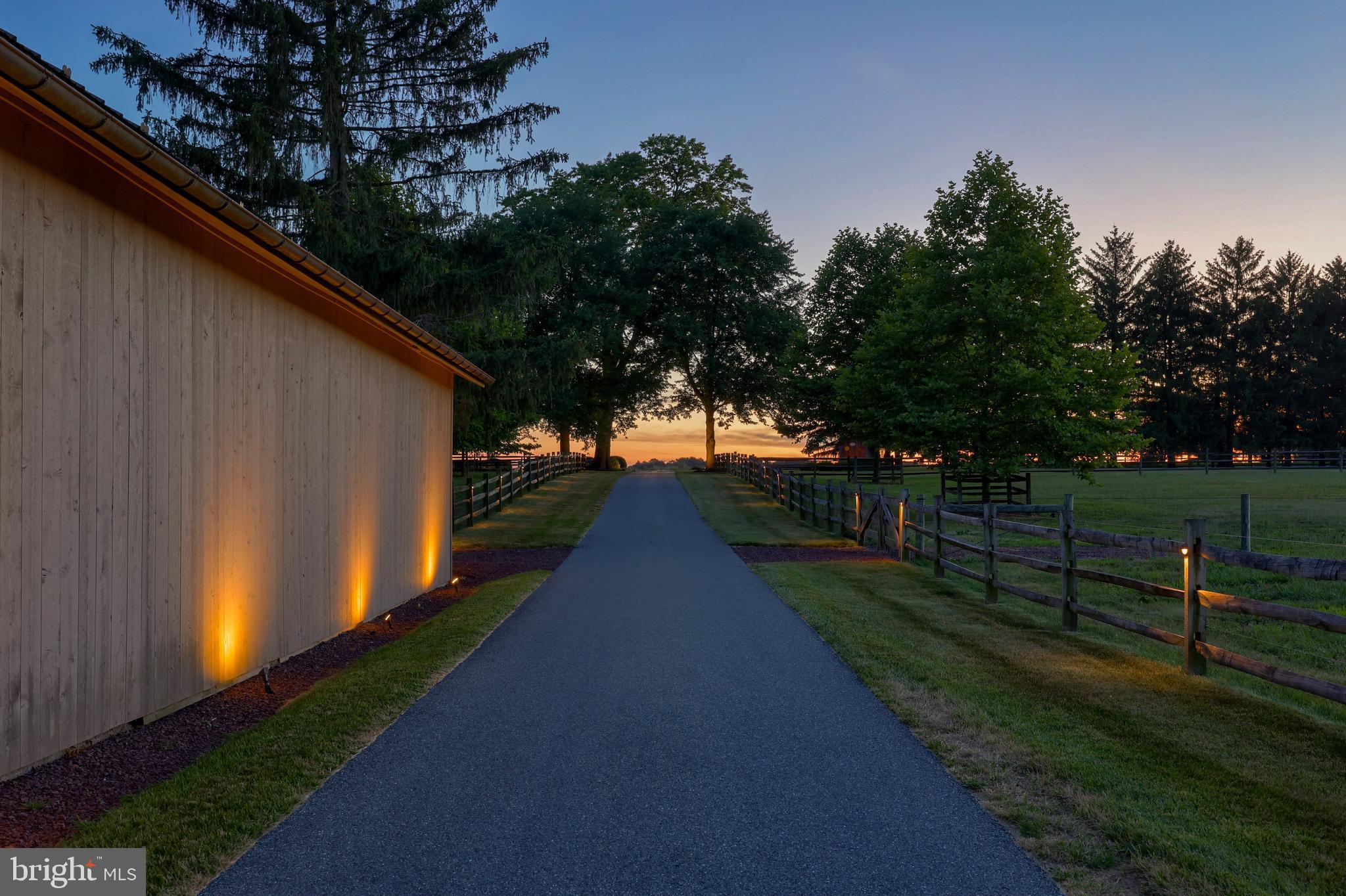MOUNT JOY - Farm