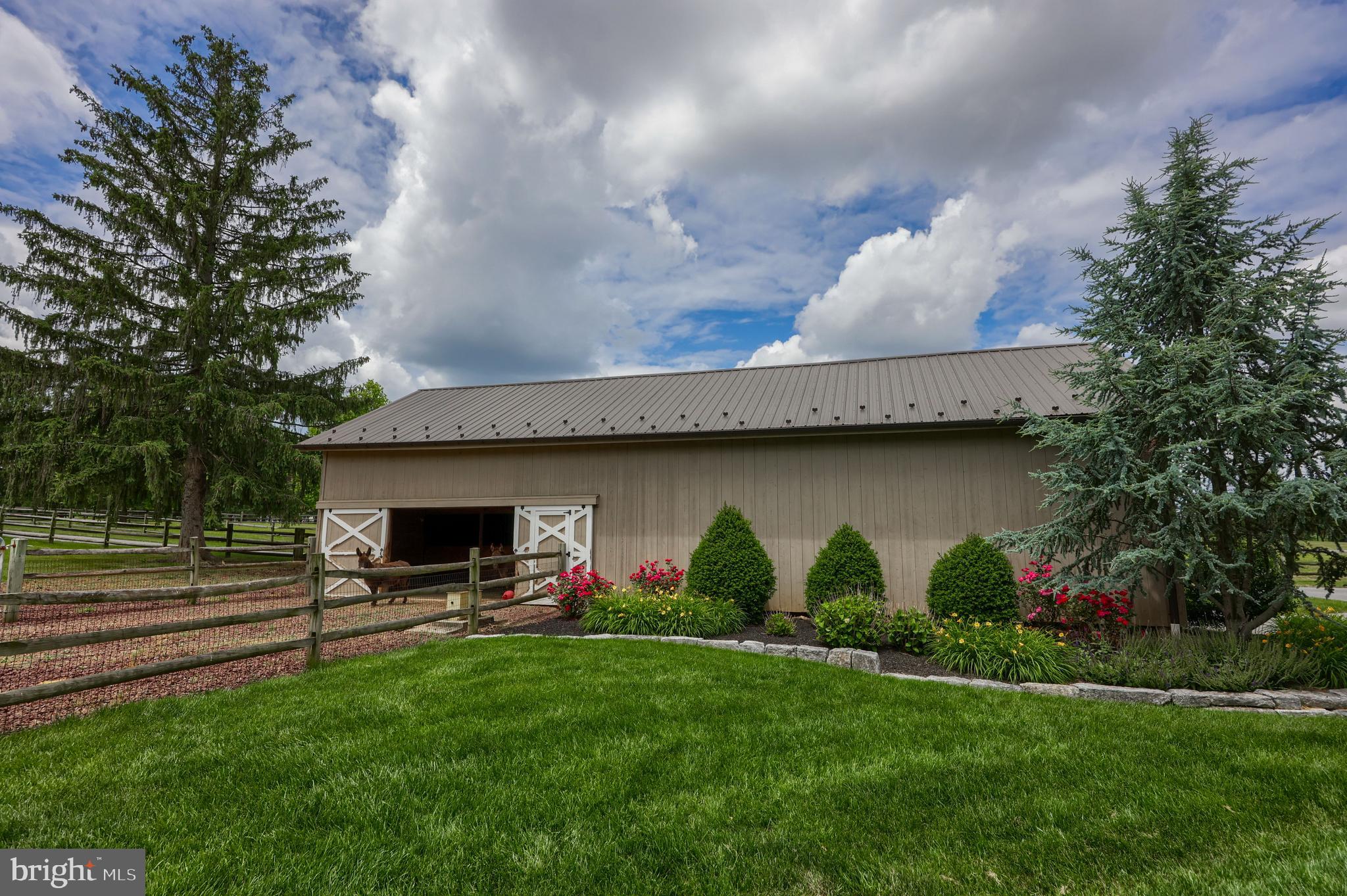 MOUNT JOY - Farm
