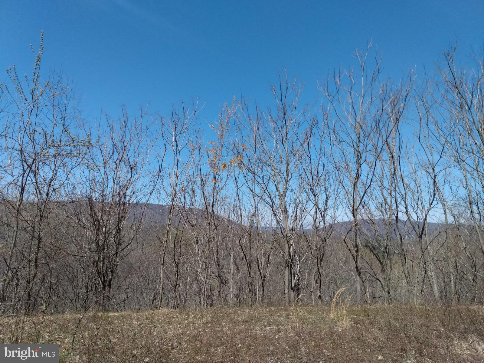 LONG HOLLOW - Land