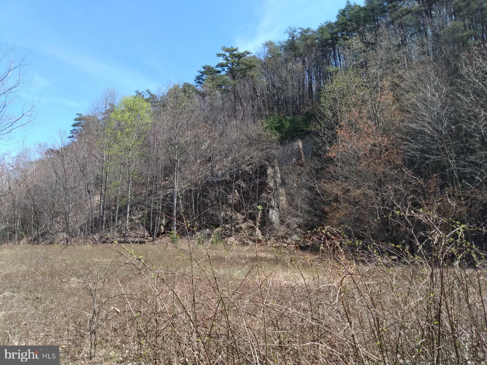 LONG HOLLOW - Land