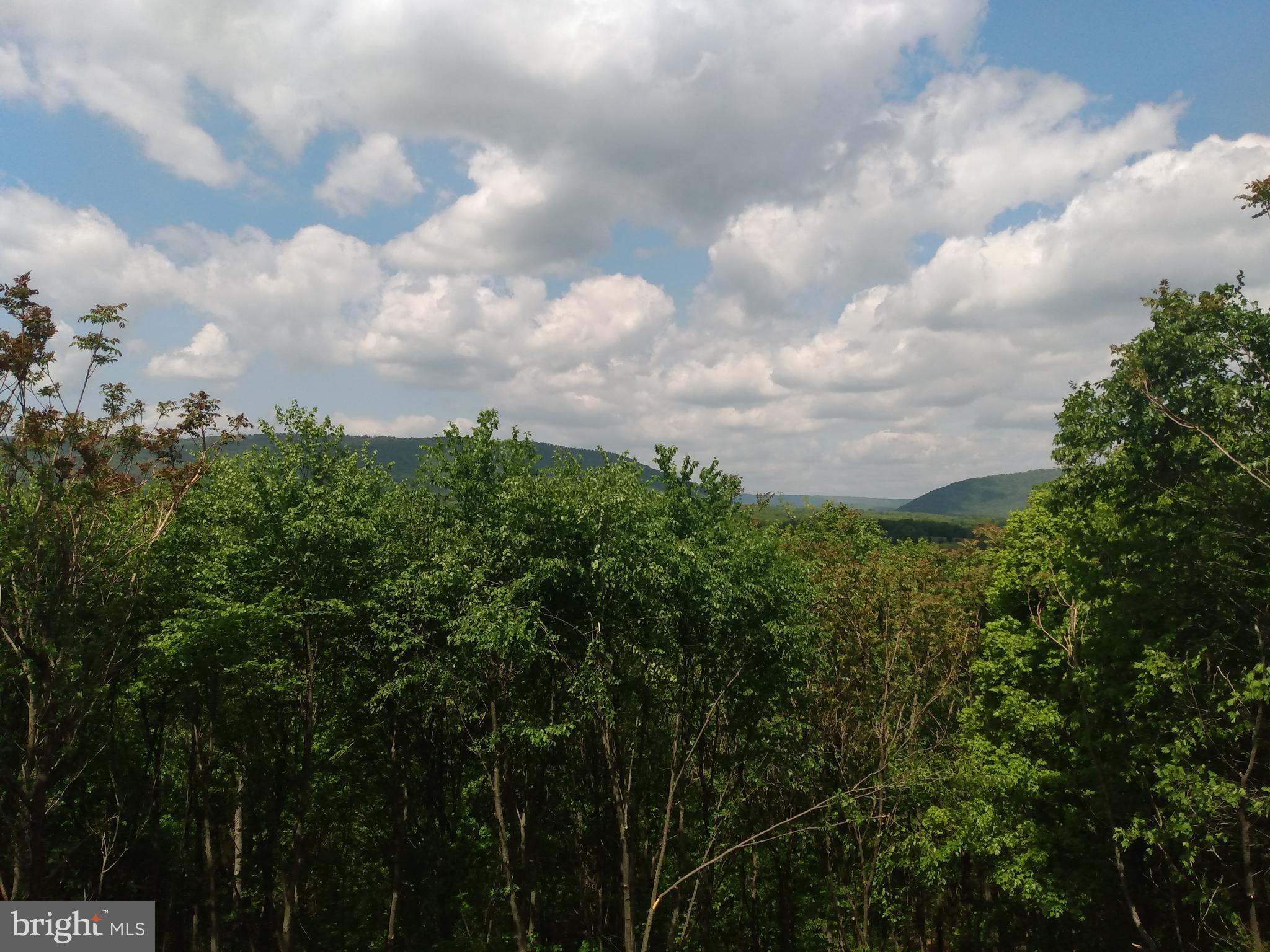 LONG HOLLOW - Land