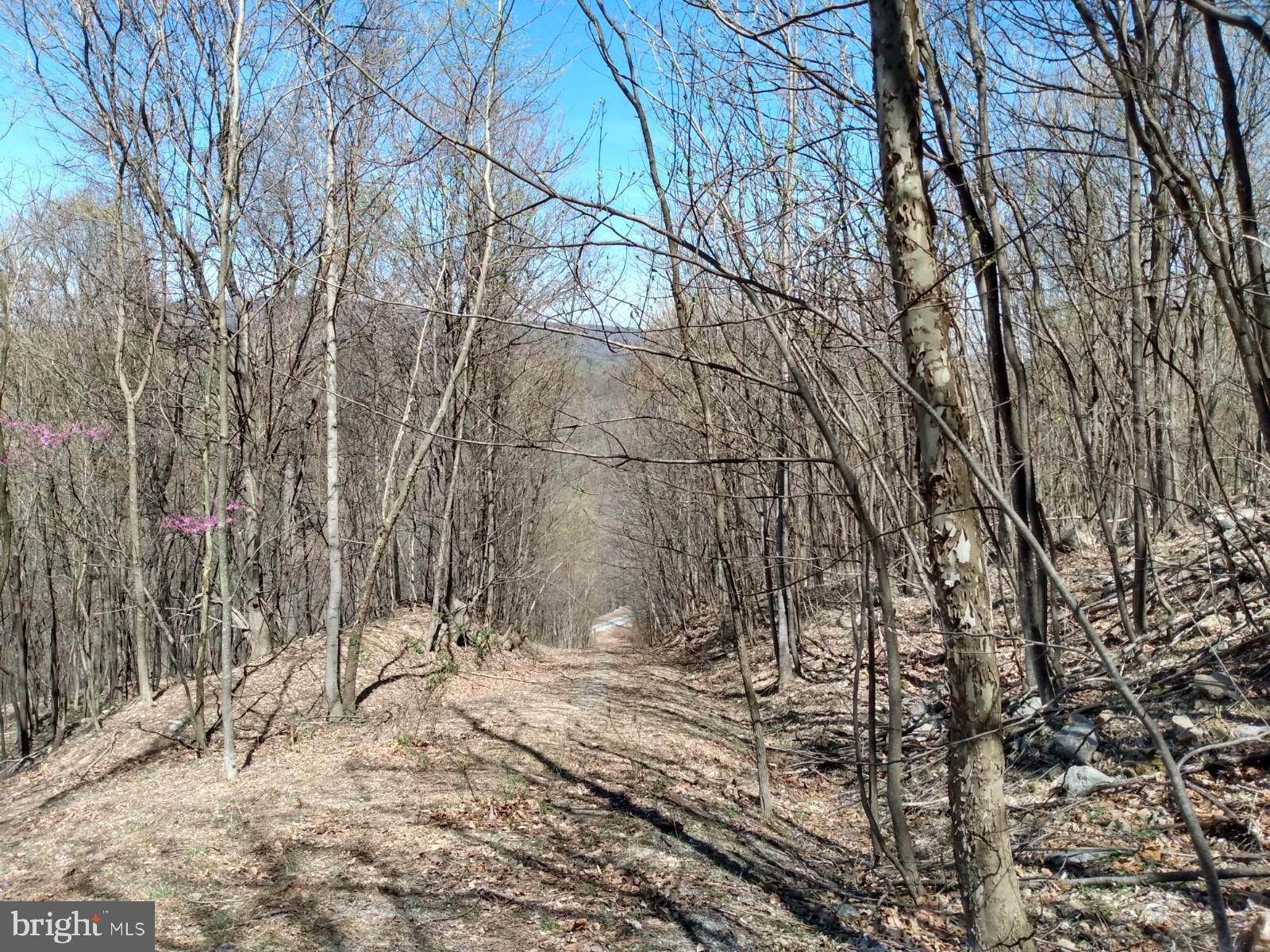 LONG HOLLOW - Land
