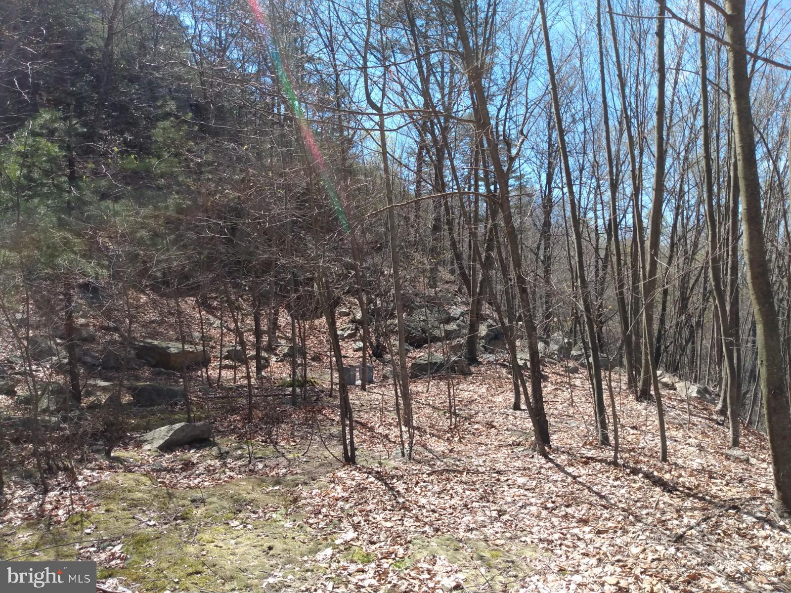 LONG HOLLOW - Land