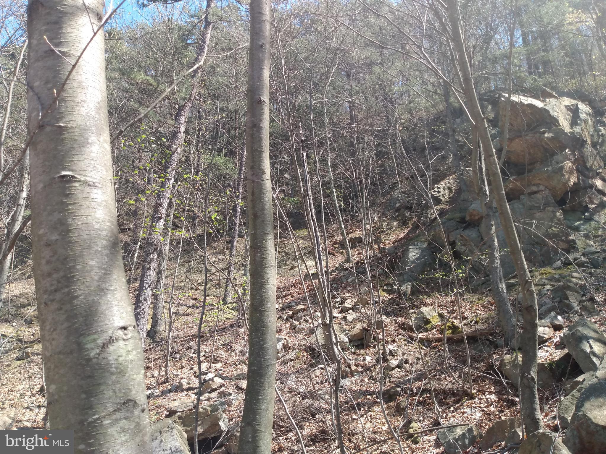 LONG HOLLOW - Land