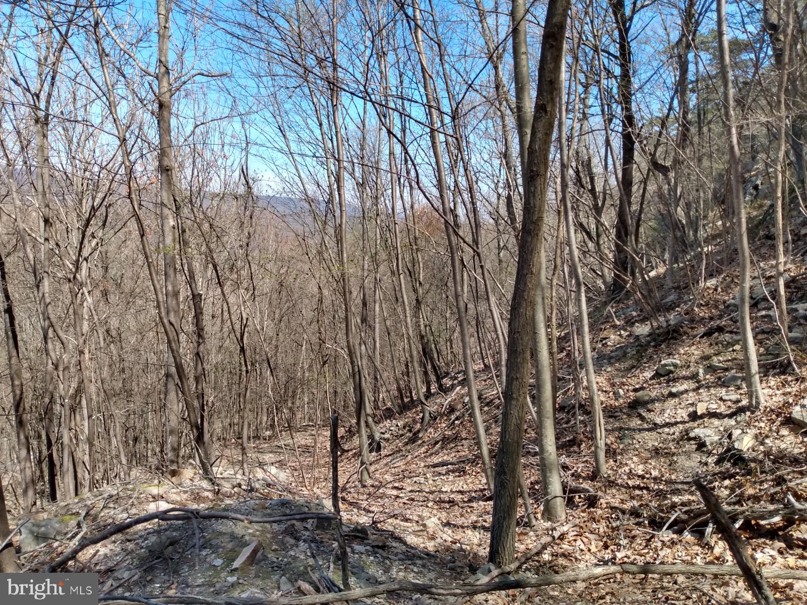 LONG HOLLOW - Land