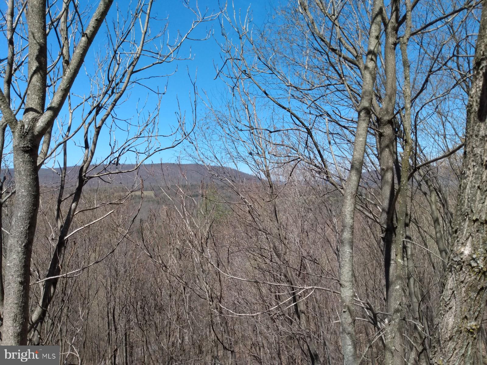 LONG HOLLOW - Land