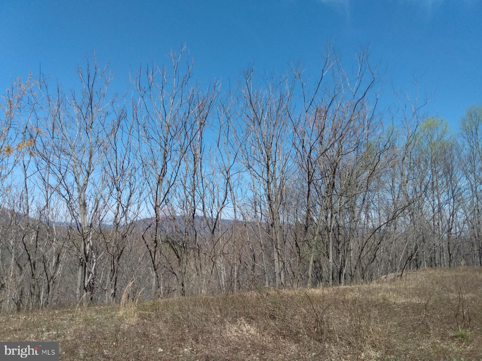 LONG HOLLOW - Land