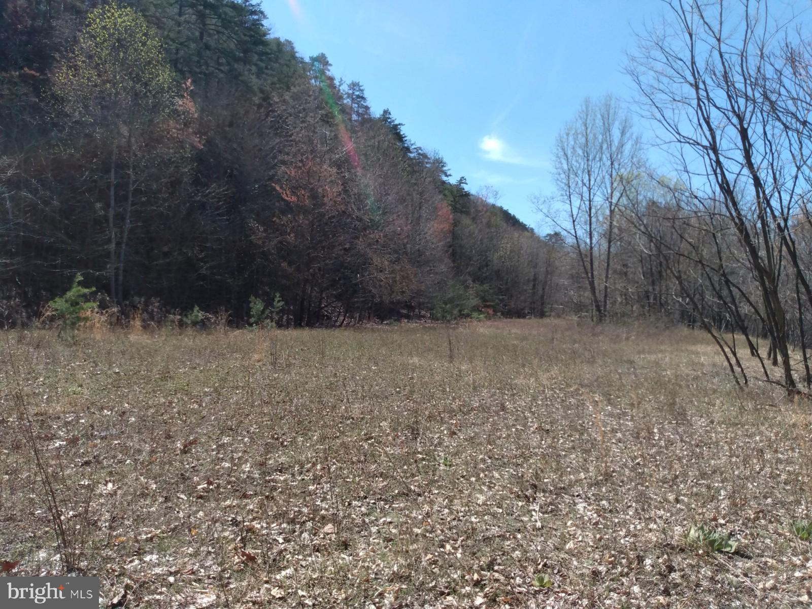 LONG HOLLOW - Land