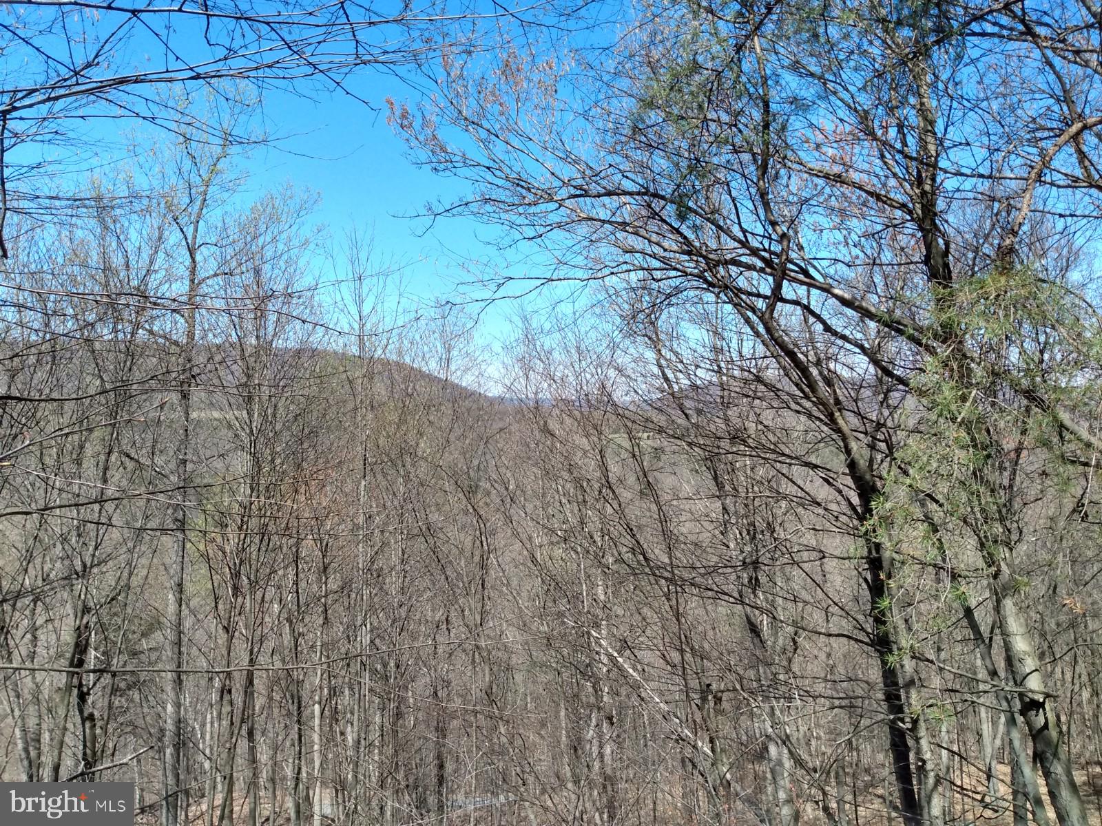 LONG HOLLOW - Land