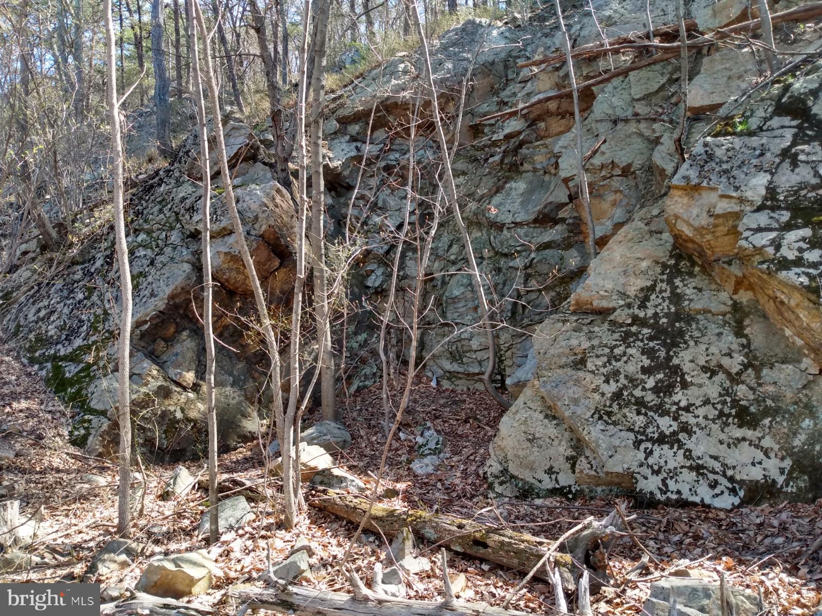 LONG HOLLOW - Land