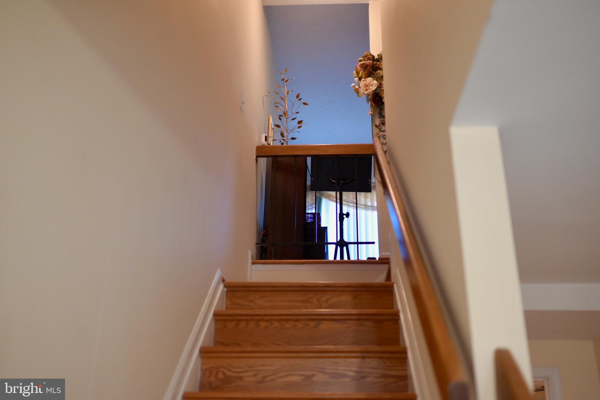 SINGLETONS GROVE - Residential