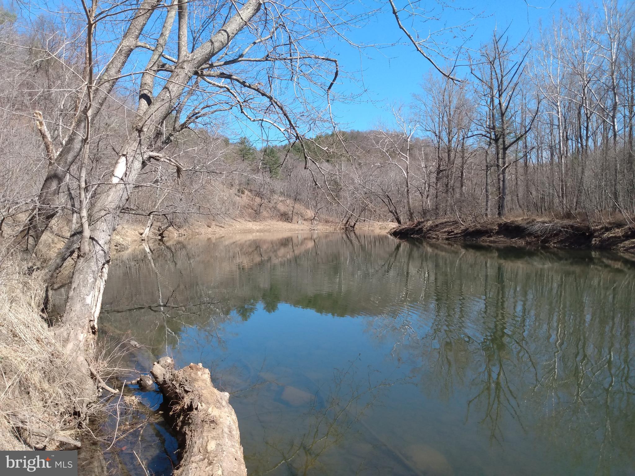 Rear Find! Cacapon River Front at the end of the lane WITHOUT any roads or right of ways going through the lot . Peaceful and serene this land is a combination of  level lightly wooded and mature wooded mountain side .  Buildable land outside of the flood zone with easy access to the 700' of rivers edge. The perfect spot for your weekend retreat or dream home.  Come out for a look today.
