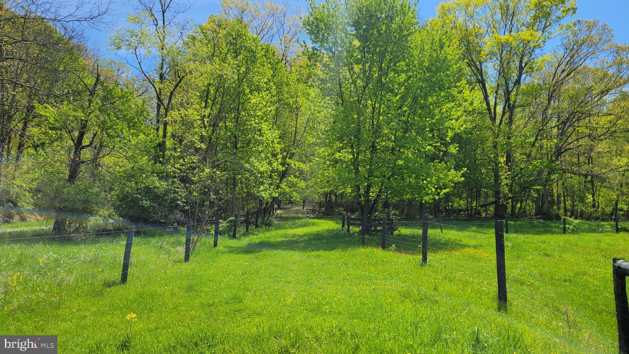 Idyllic setting for dream building lot, offers privacy and seclusion.  Lot has been perc tested and plat recorded.