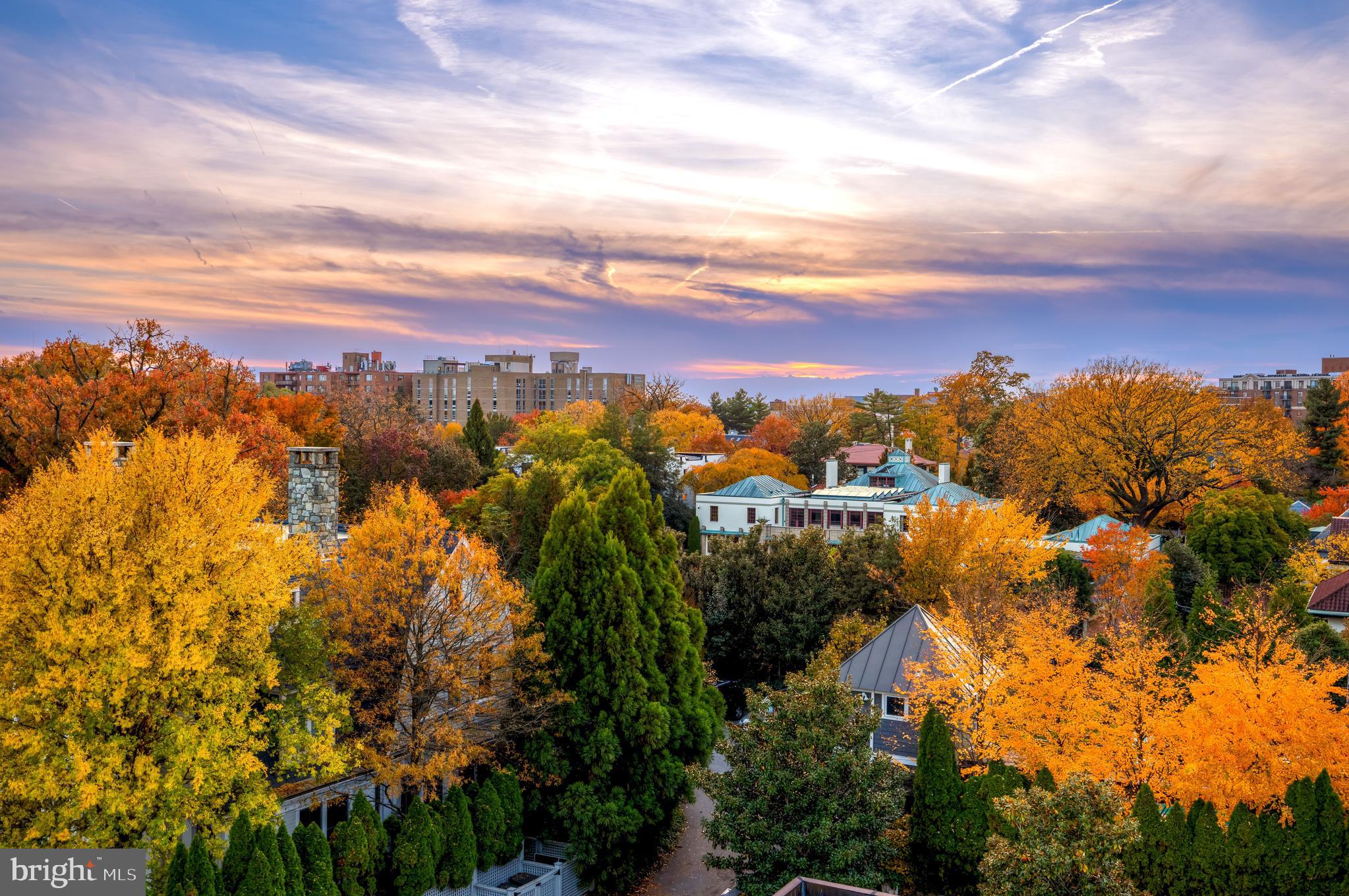 CLEVELAND PARK - Residential