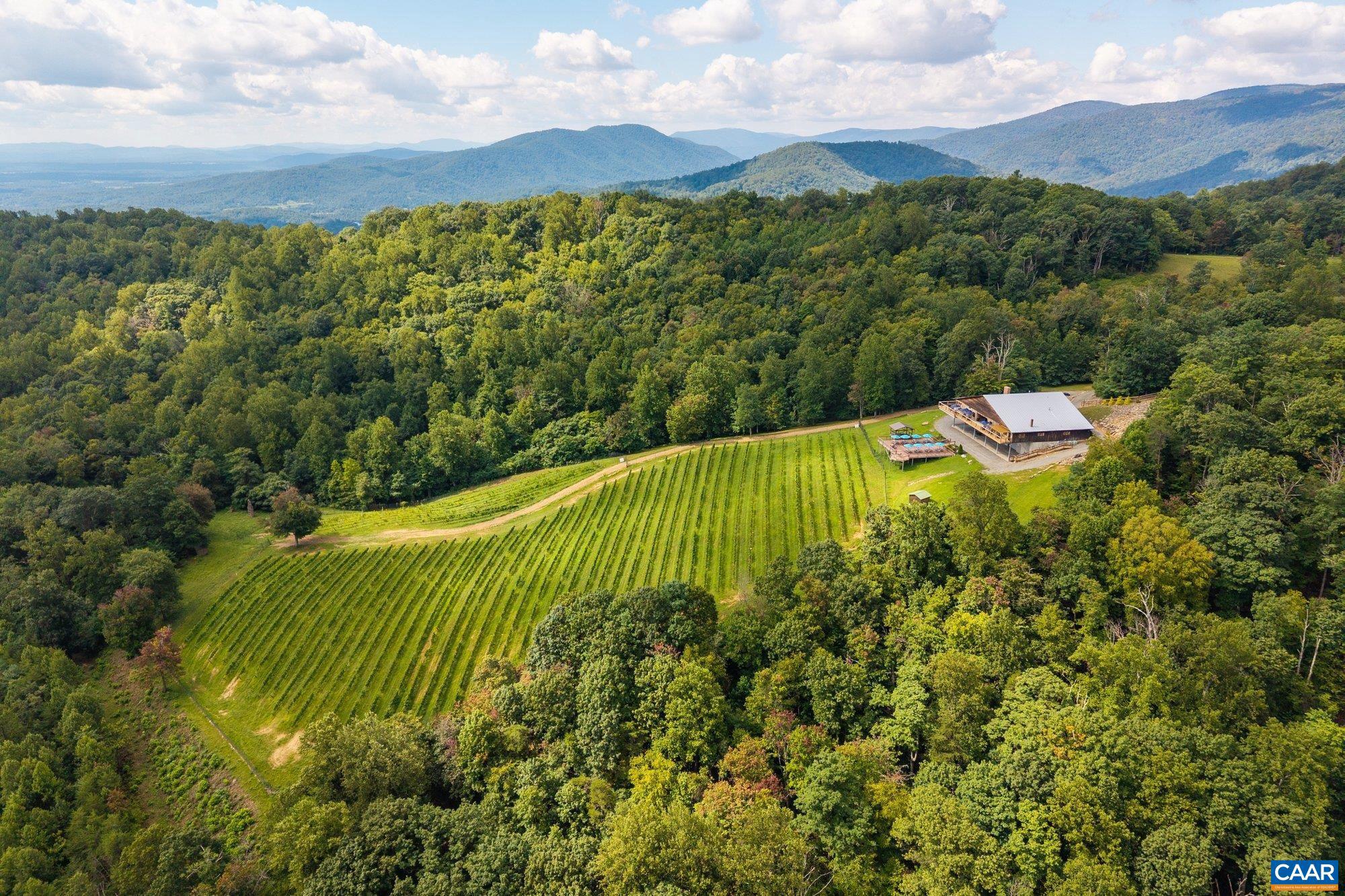 The 54.99-acre Stone Mountain Estate offering encompasses a prominent ridge-top setting with long-range Blue Ridge Mountain views and substantial scale. Anchoring the property is a 13,800-square-foot structure with 6,900 square feet on each level and soaring 15-foot ceilings on the lower floor, including multiple bedrooms and baths, a large kitchen, and a wine cellar?well suited for transformation into a grand residence, private estate centerpiece, or event-oriented retreat. Portions of the land remain planted with established Chardonnay and Pinot Noir vines, offering optional agricultural continuity while preserving the property?s primary identity as a significant Central Virginia estate, all within easy reach of Charlottesville and the University of Virginia. This offering is part of the larger Stone Mountain Estate listing with 78.99 acres.