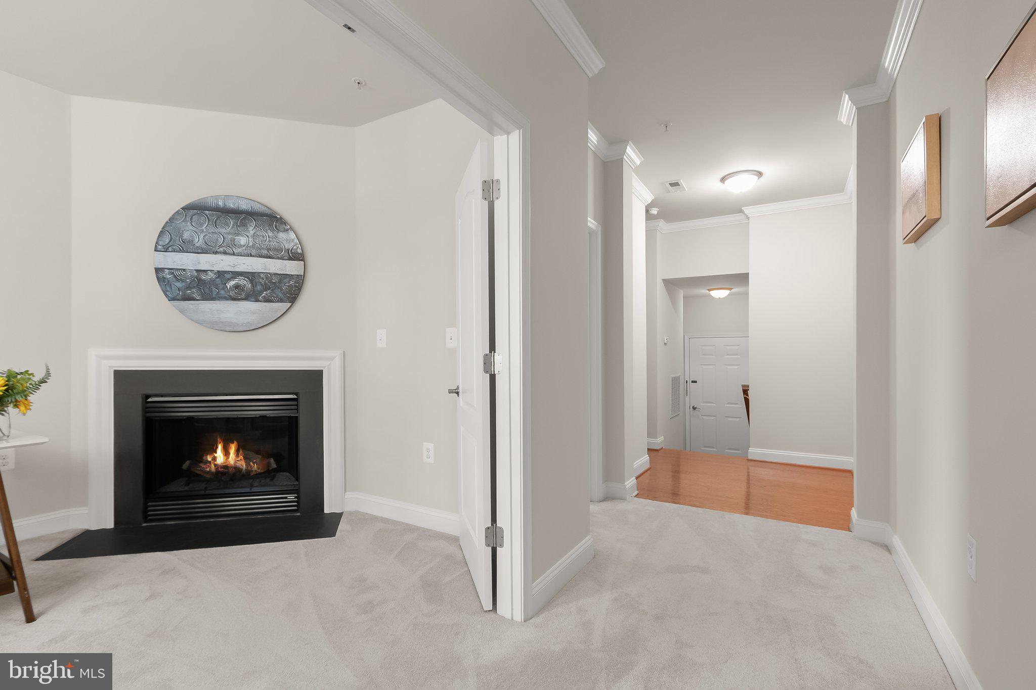 MAPLE LAWN - Residential