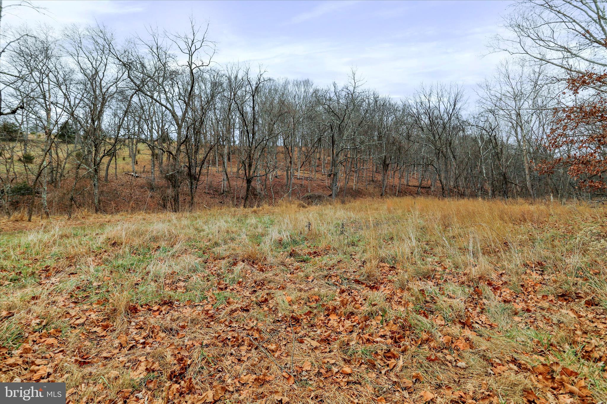 HAMILTON ESTATES - Land