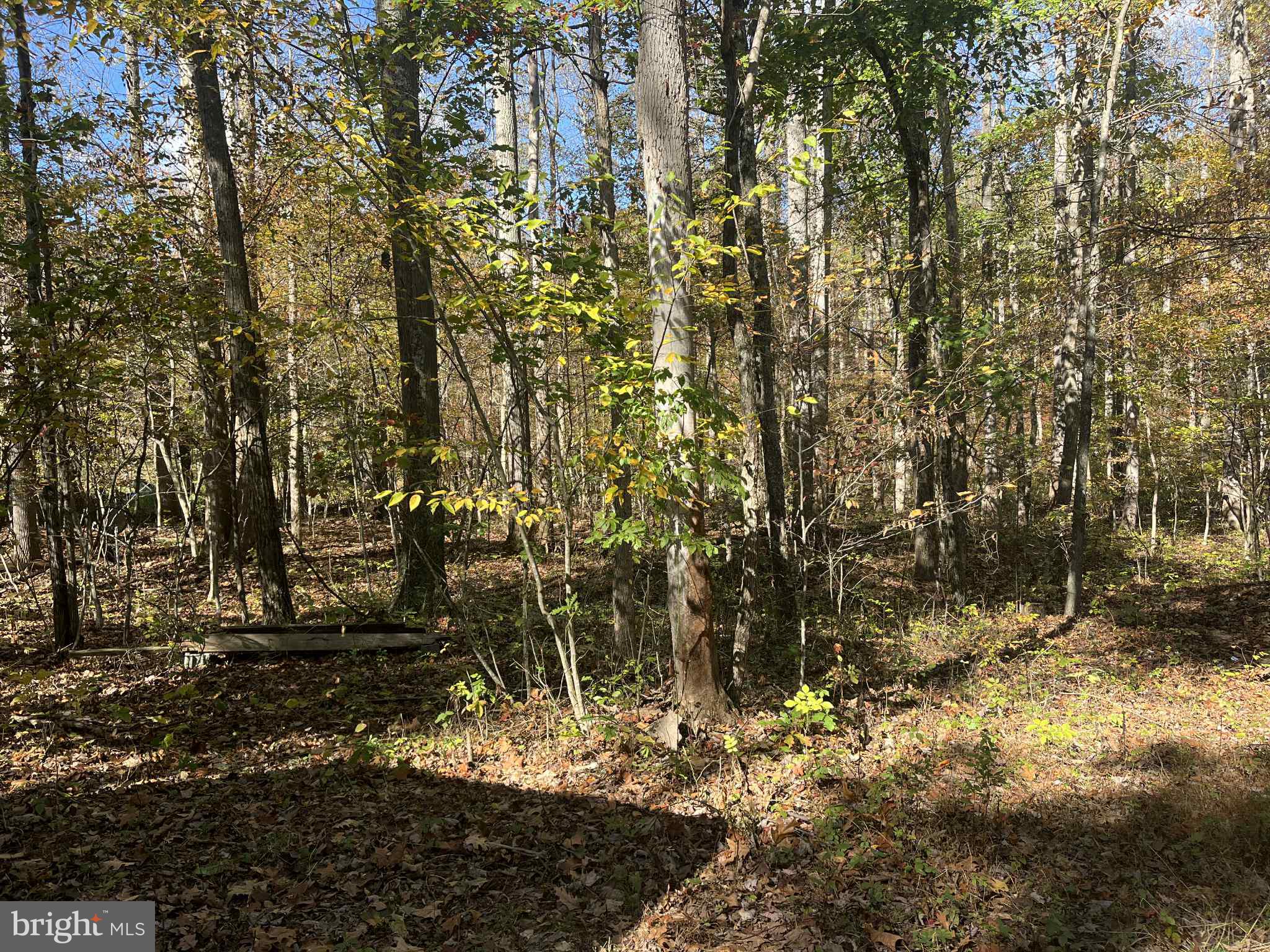Level, Fully Wooded with Mature Hardwood, 2 Acre Property.  Gravel Driveway. Septic and  Electric are in Place.  Well has been Dug, Seller will Purchase a New Well Pump with Acceptable Offer.  One Camper Conveys, Repairs Needed Being Sold in As-Is Condition.  Shed on property.  Creek in the Back.  Property Fronts Hard Cap Road.  Close to  Short Mountain Public Hunting (8,000 Acres) is Nearby.