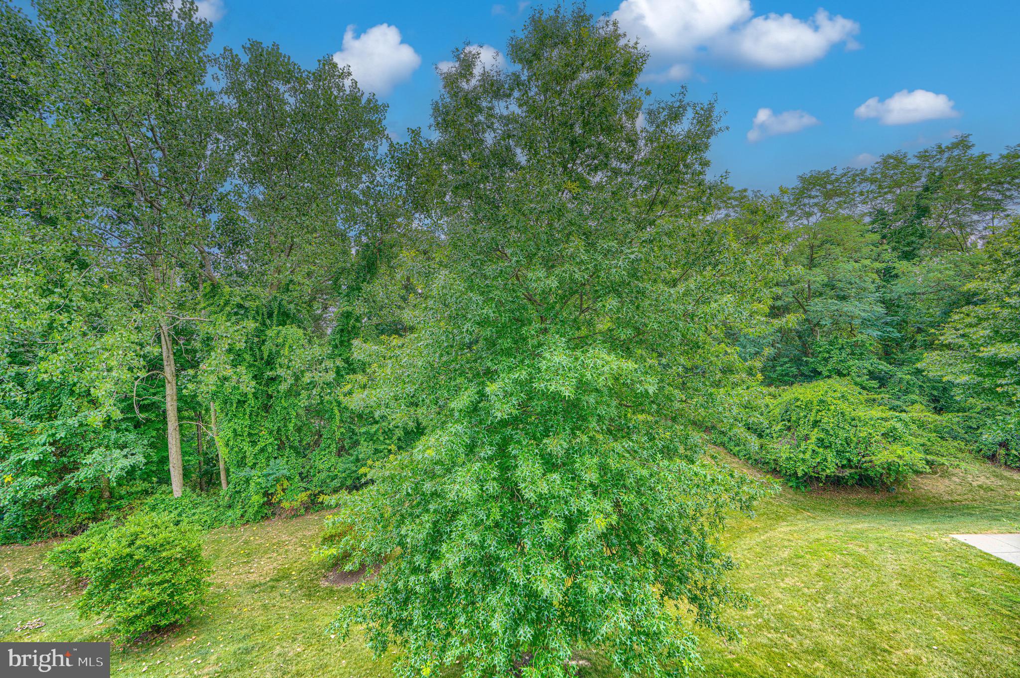 SOUTHFIELD CONDO - Residential