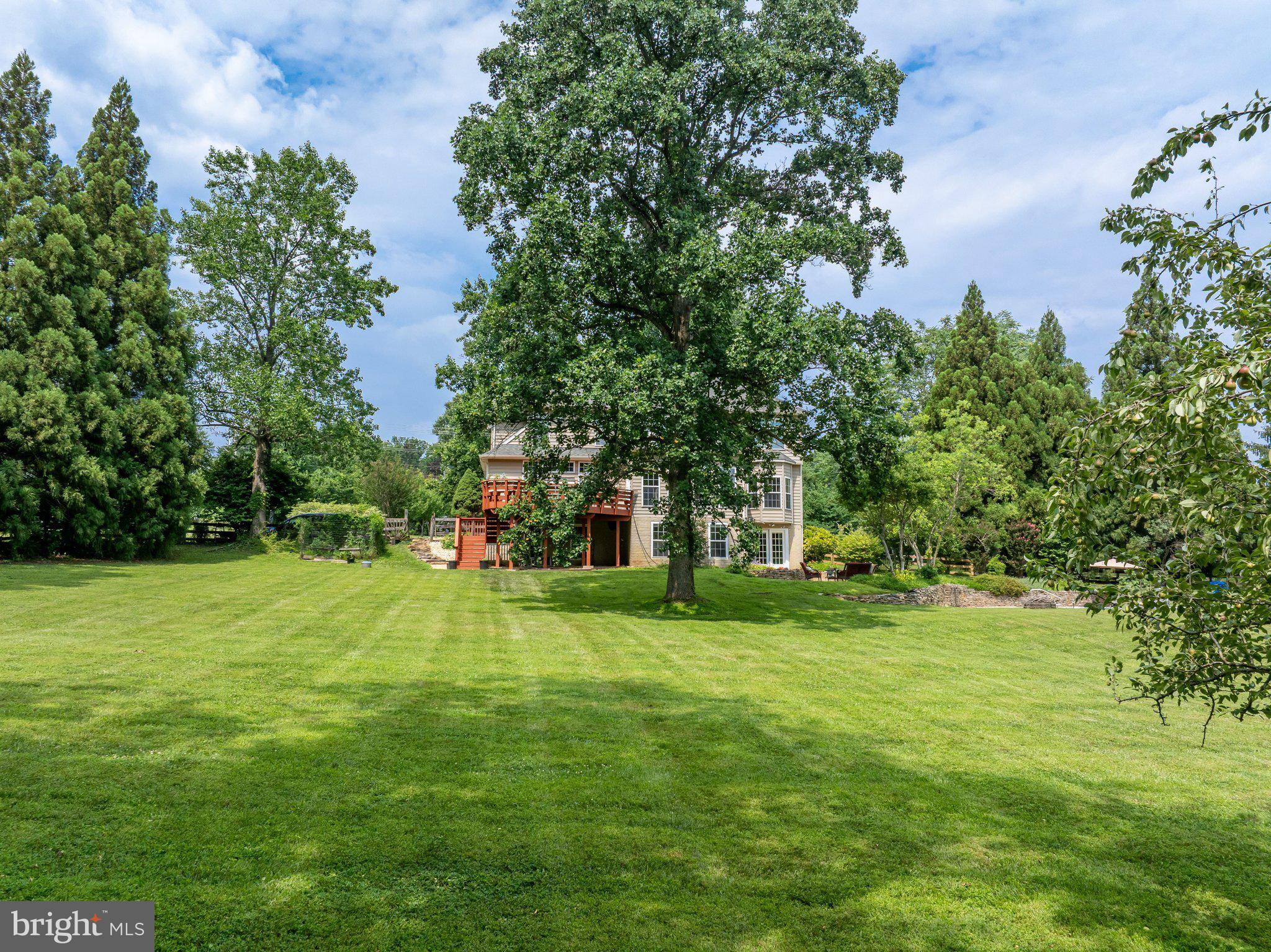 JONATHANS DELIGHT - Residential