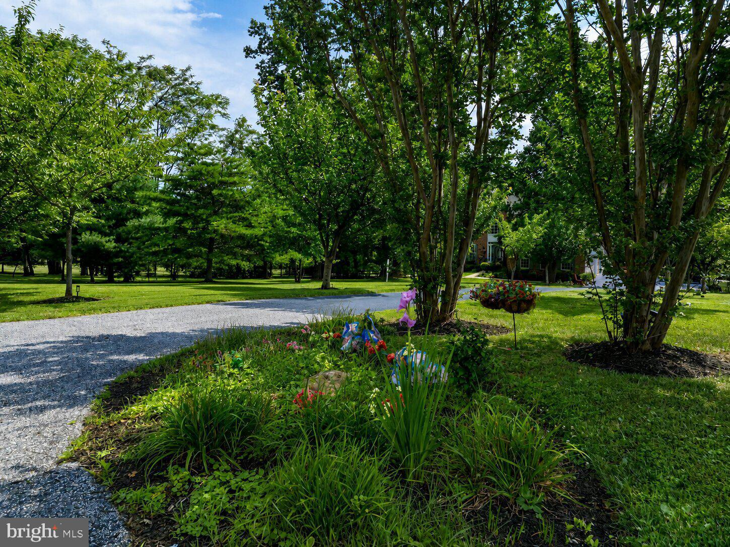 JONATHANS DELIGHT - Residential