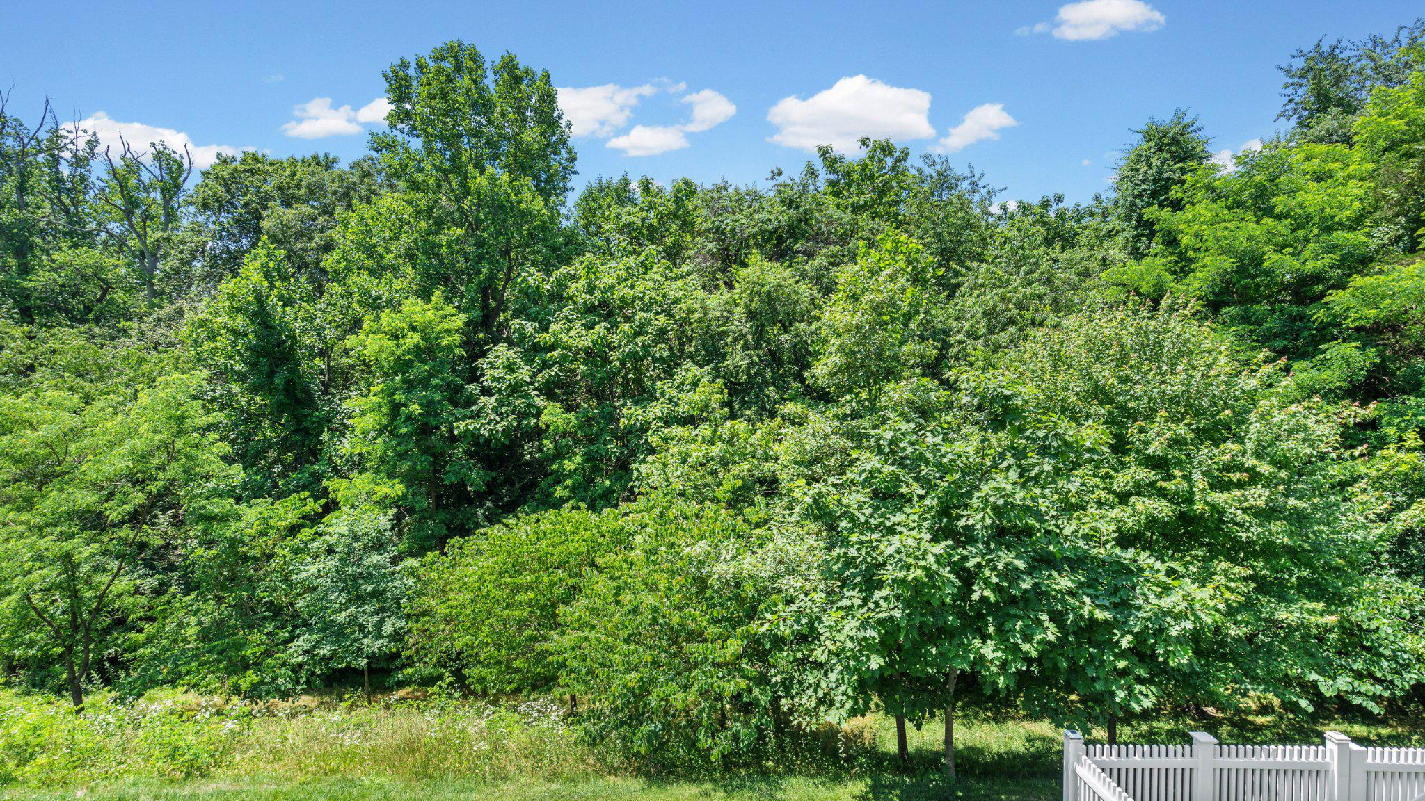 MAGNESS MILL - Residential