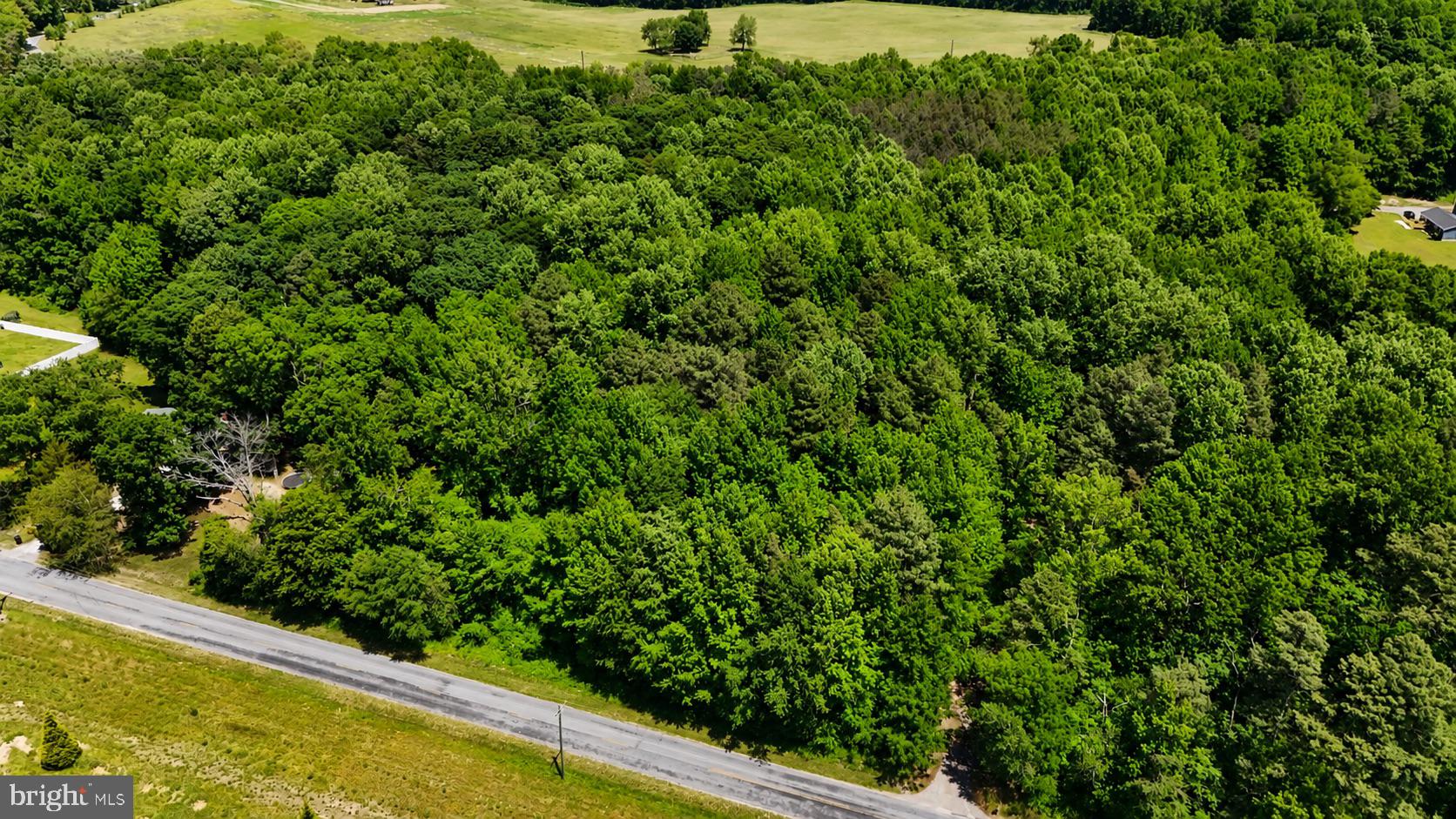 If you’ve been searching for a private, wooded homesite without feeling too far removed from everyday conveniences, this is it. Offering over 2.5 acres, this property provides the perfect blend of seclusion and accessibility—ideal for building your dream home exactly the way you envision it.

Located on Havercamp Rd, you’ll enjoy a peaceful, tucked-away setting while still being just minutes from Rt. 50, making commuting and travel a breeze. Whether you’re heading toward Salisbury, Easton, or the beaches, you’ll have quick access to everything you need without sacrificing privacy.

With ample space, natural surroundings, and a location that keeps you connected, this is a rare opportunity to create your own retreat in a highly convenient setting.