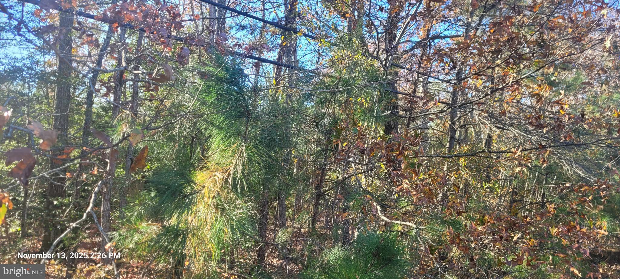 Prime opportunity to own .857 acres of vacant land in the heart of Newburg, Maryland. Identified as Dist 5, Map 86, Grid 11, Parcel 100 (Tax ID #05022606), this property sits just off Route 257, offering convenient access for future development or long-term investment. The lot is undeveloped and ready for your vision—whether you’re considering a homesite, recreational use, or a strategic addition to your land portfolio.

Enjoy the peaceful rural setting while still being close to key commuter routes and local amenities. Buyer to verify all potential uses with Charles County Planning & Zoning.
