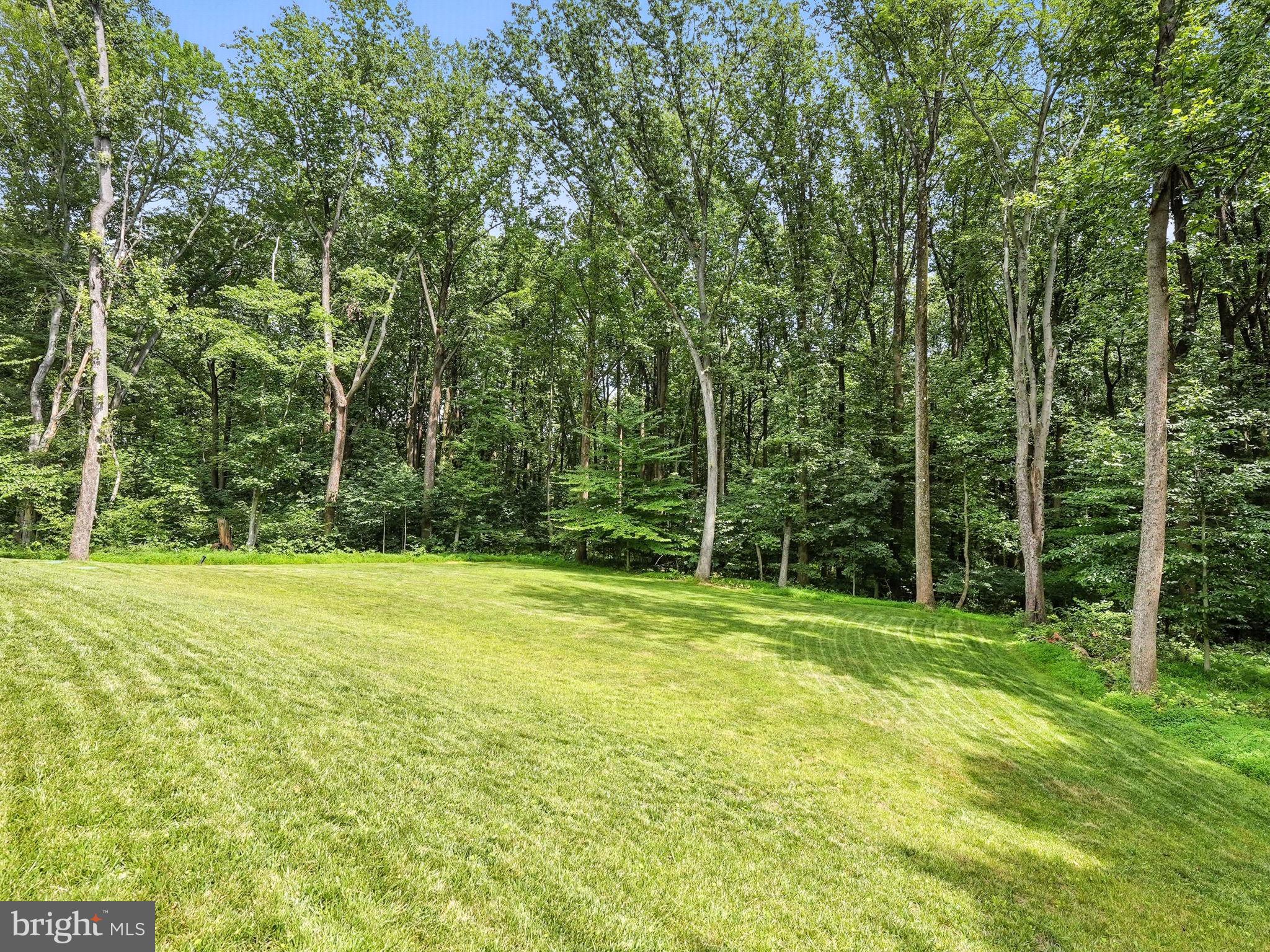 CATOCTIN SPRINGS - Residential
