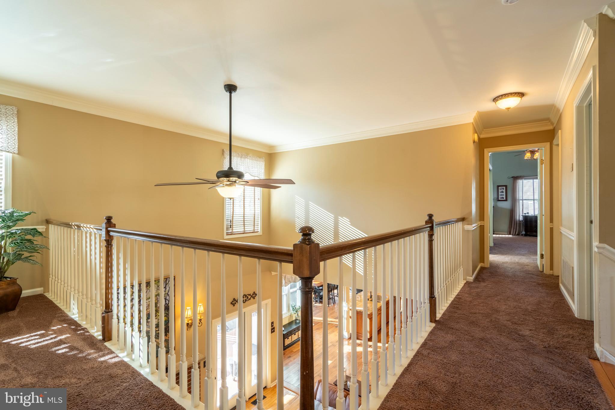 CEDAR HILL - Residential