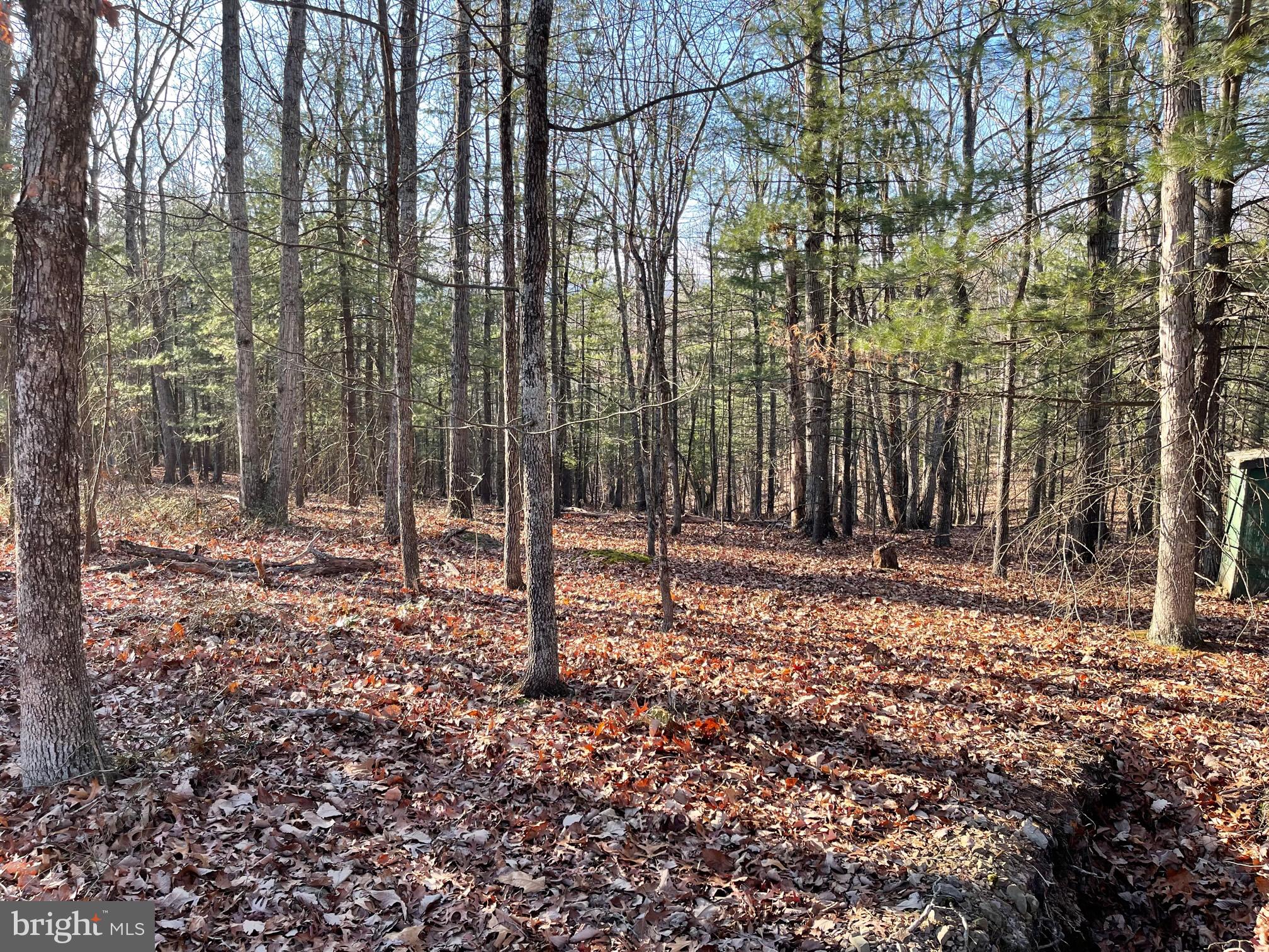 Beautiful piece of land with nice level building spots.  Lot is in a great location with no HOA and no restrictions.  A previous well for water was installed.  Power is located nearby and. perc test has been done.  There is a shed on the property and a small gazebo.  Can easily be set up for camping in the meantime.  Over 8 acres of space in a great neighborhood.  A must see!