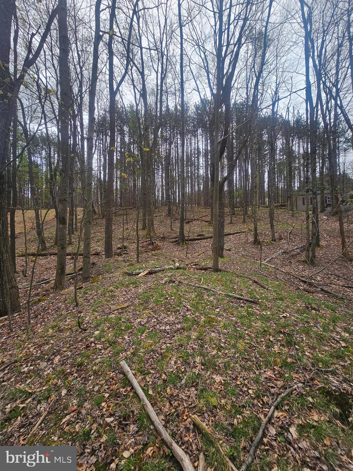 Seize the opportunity to own a beautiful parcel of land just minutes from Deep Creek Lake—one of the region’s most sought-after destinations for recreation and relaxation. This nearly half-acre property offers the rare combination of no HOA and no restrictions, giving you the freedom to bring your vision to life without limitations. Whether you're dreaming of building a cozy getaway cabin, a full-time residence, or your ultimate custom home, this property provides endless potential. With ample space and a versatile layout, the possibilities are truly wide open. Filtered lake views! Enjoy the peace and privacy of a natural setting while still being close to boating, dining, skiing, and year-round activities that make the Deep Creek Lake area so ideal for vacation home, investment, or primary residence. Unlimited potential to build your vision.
Don’t miss your chance to secure a flexible and affordable piece of land in a highly desirable location.