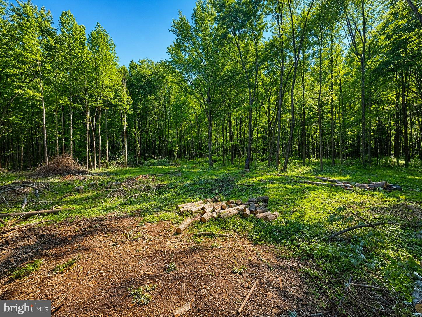 Escape to the peace and quiet of the countryside with this beautiful private wooded 2-acre lot, tucked away down a secluded gravel lane. Offering a perfect blend of mature trees and a partially open entrance area, this property is ideal for camping, hunting, recreation, or simply enjoying nature in a tranquil setting. Bring your RV or pitch a tent and enjoy the great outdoors!

Electric is available at the road, and the seller has marked the approximate property corners and boundaries for convenience (no survey on file). A seasonal hand-dug well is also located on the property. Whether you're looking for a weekend getaway, a place to gather around bonfires, or your own private retreat in nature, this property offers endless possibilities to relax and unwind outdoors.