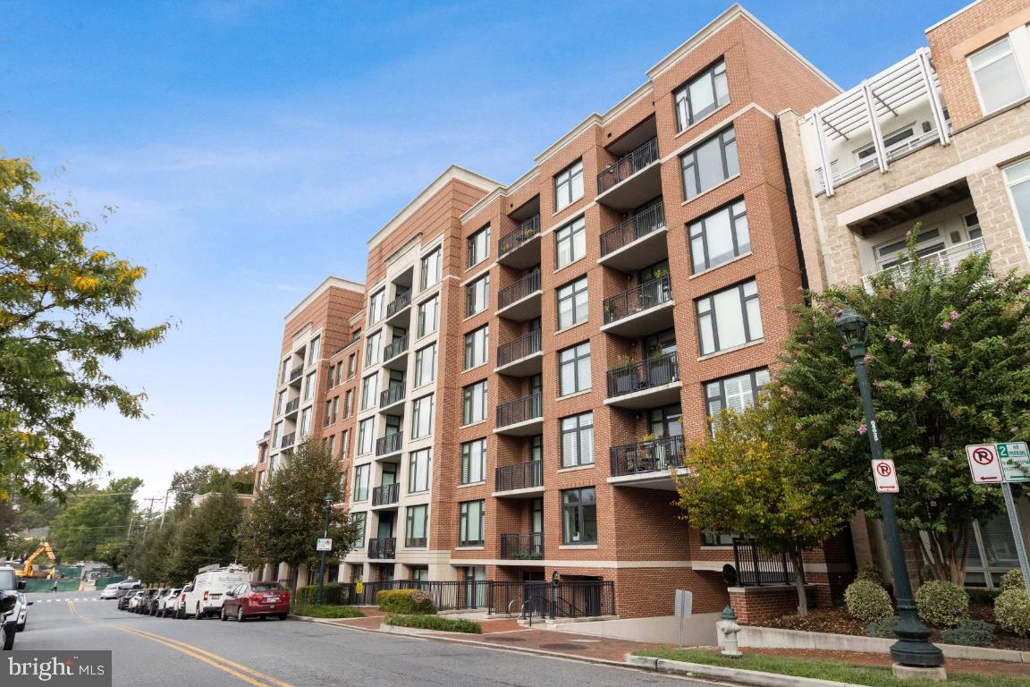 HAMPDEN ROW - Residential