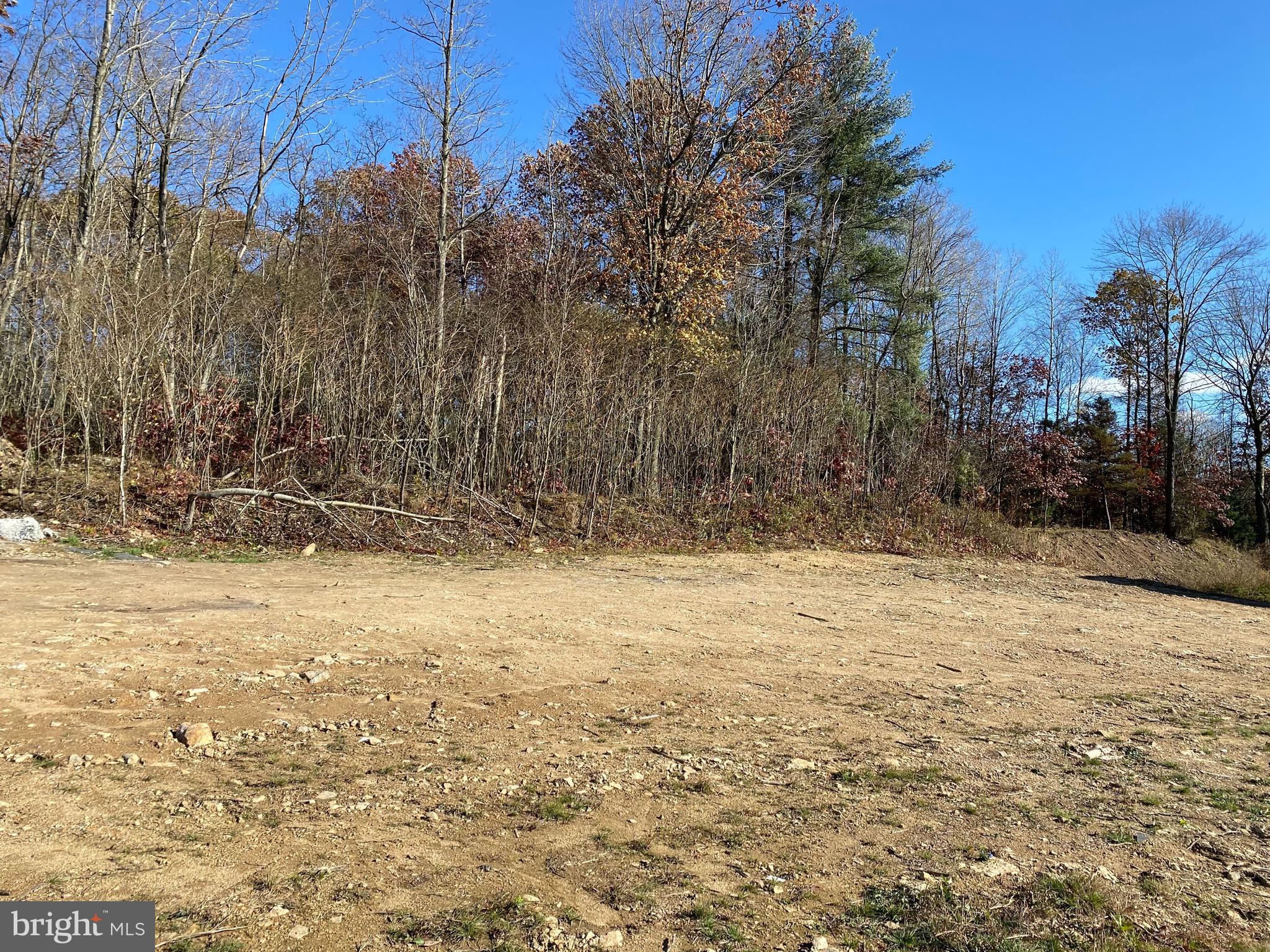 Ready to build your dream home? Consider building on Elmwood Court. Newer development with easy access to Route 61 and I-81. This lot has been  partially cleared and offers southern exposure with great views. Public water & sewer. Call today for more information.