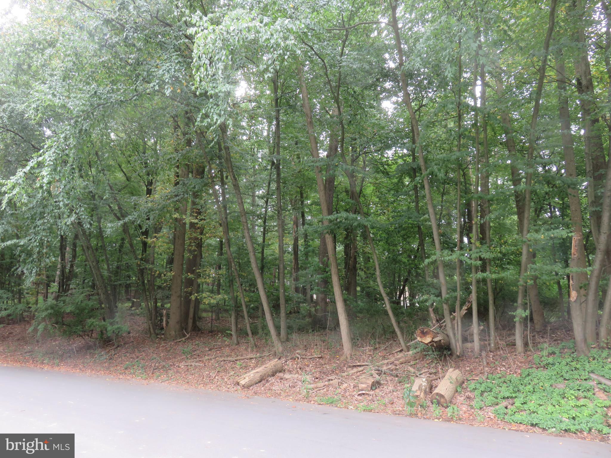 TIMBER HILLS - Land