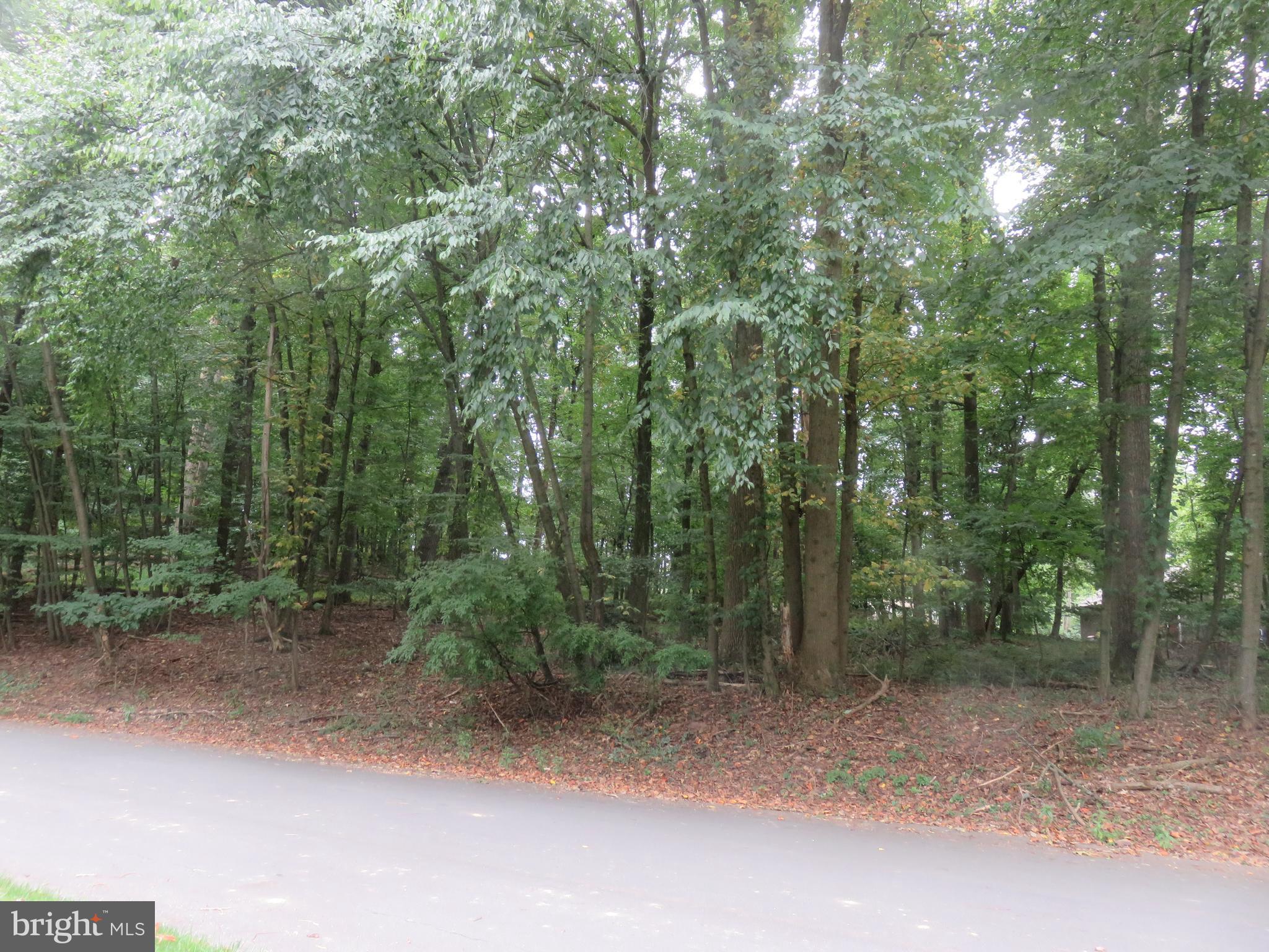 Timber Hills area of Mt. Gretna.  Wooded, any Builder,  Public sewer,  Private water.