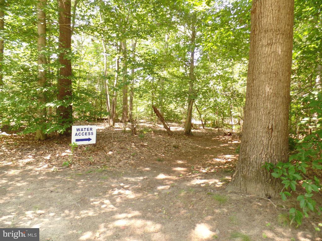 PATUXENT PALISADES - Residential