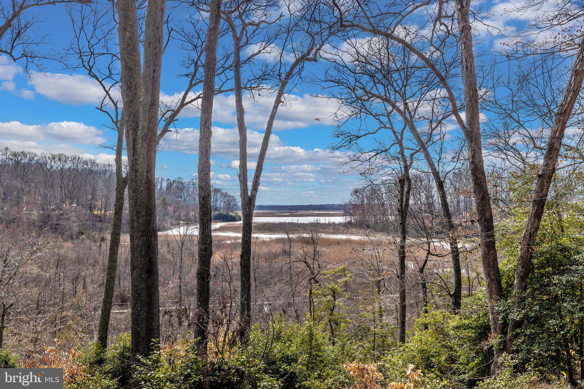 PATUXENT PALISADES - Residential