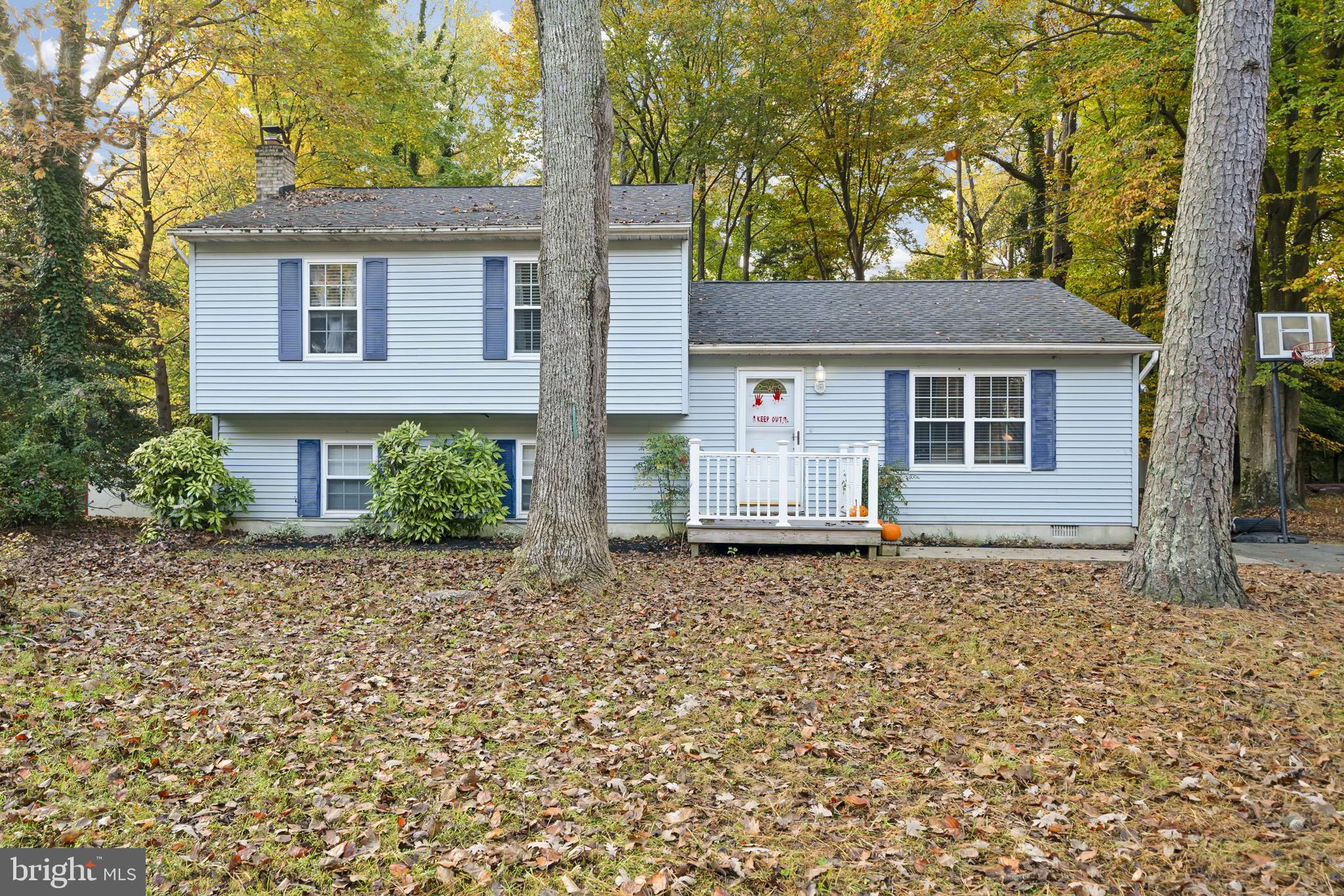 Beautiful home in Drum Point. Quiet street, short walk to the water. Spacious kitchen with gorgeous cabinets & stainless appliances, dining area and living room on main level. 3 bedrooms, 2 full baths upper level. Lower-level walk out basement area, cozy family area with fireplace & half bath. Roof replaced in 2017, HVAC 2018. Level back yard and easy maintenance composite deck area for enjoying summer dinners or morning coffee. Front porch also composite. Gutters just cleaned and home freshly power washed after photos were taken.  Buyer Financing Fell Apart, Don't Miss Out on second opportunity to own this wonderful home. Excellent location and proximity to the water