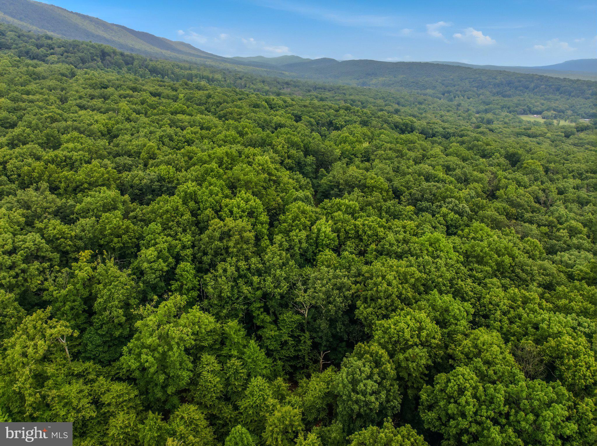 ROCK GAP WOODS - Residential