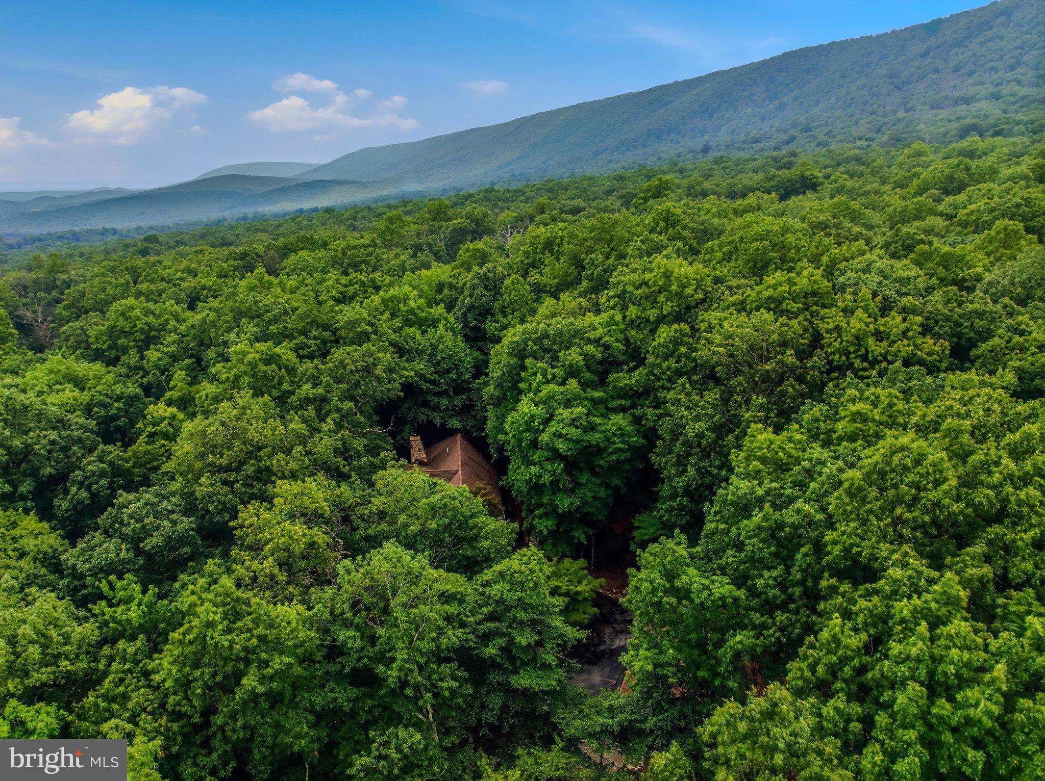 ROCK GAP WOODS - Residential