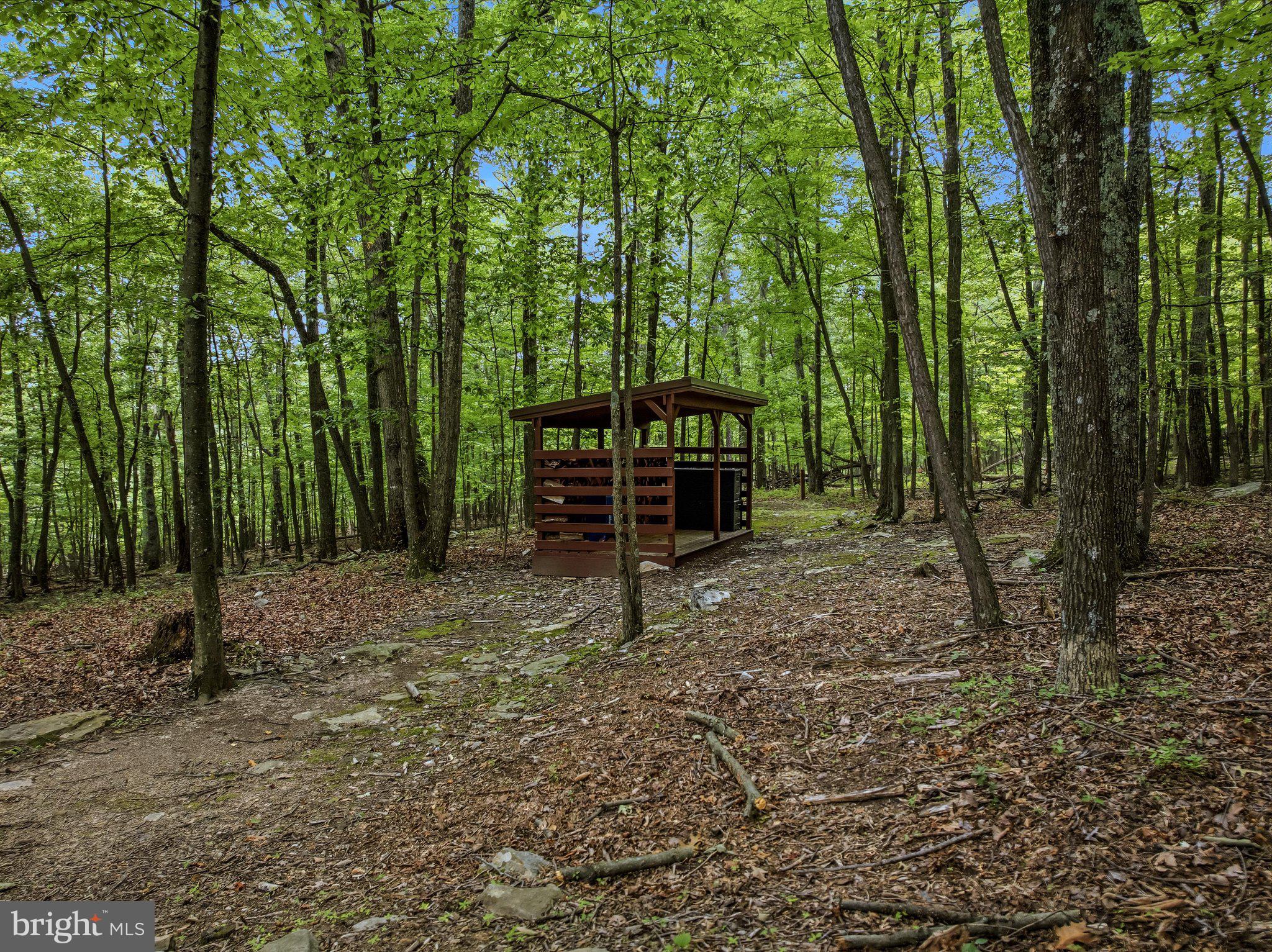 ROCK GAP WOODS - Residential