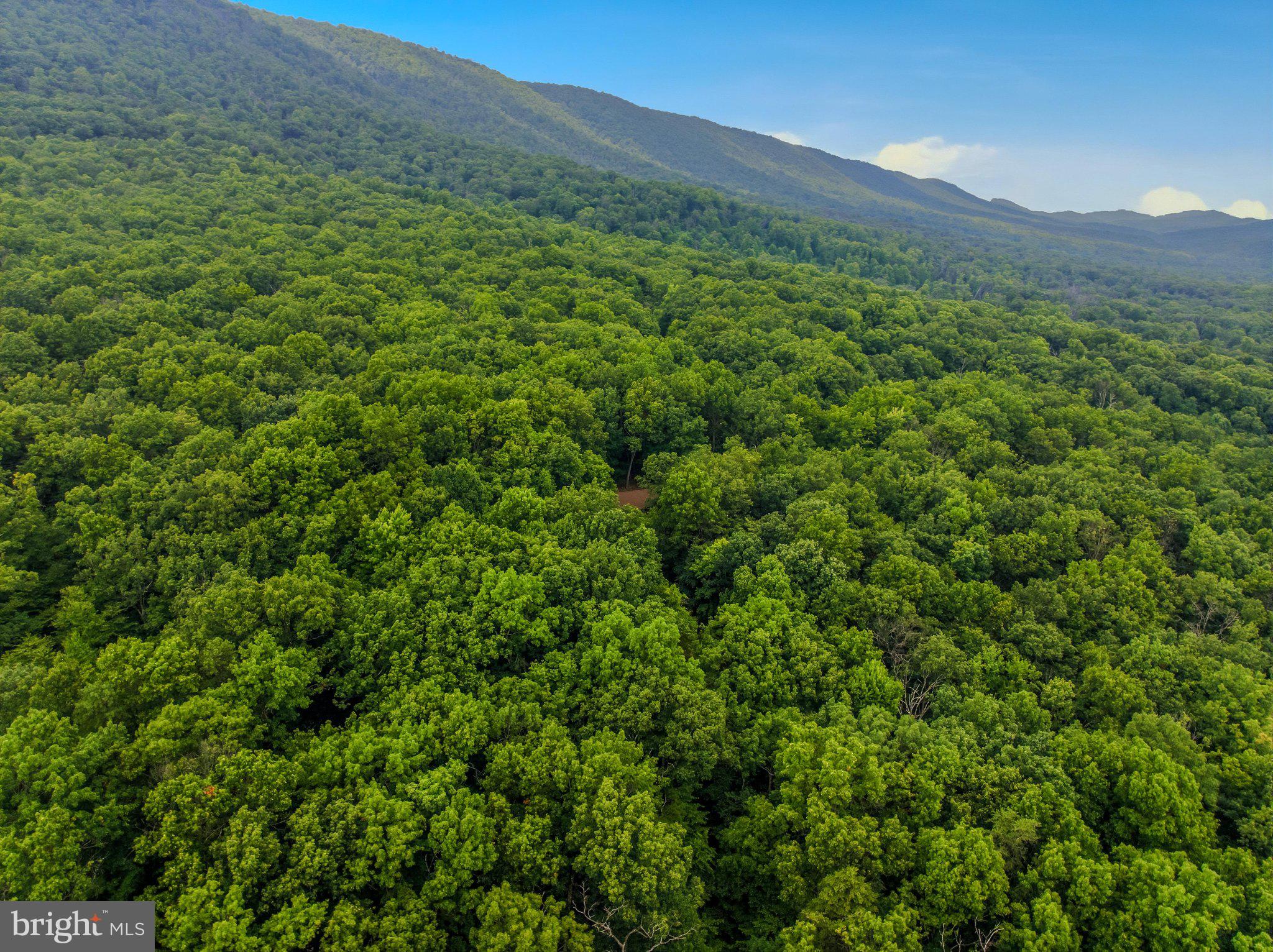 ROCK GAP WOODS - Residential