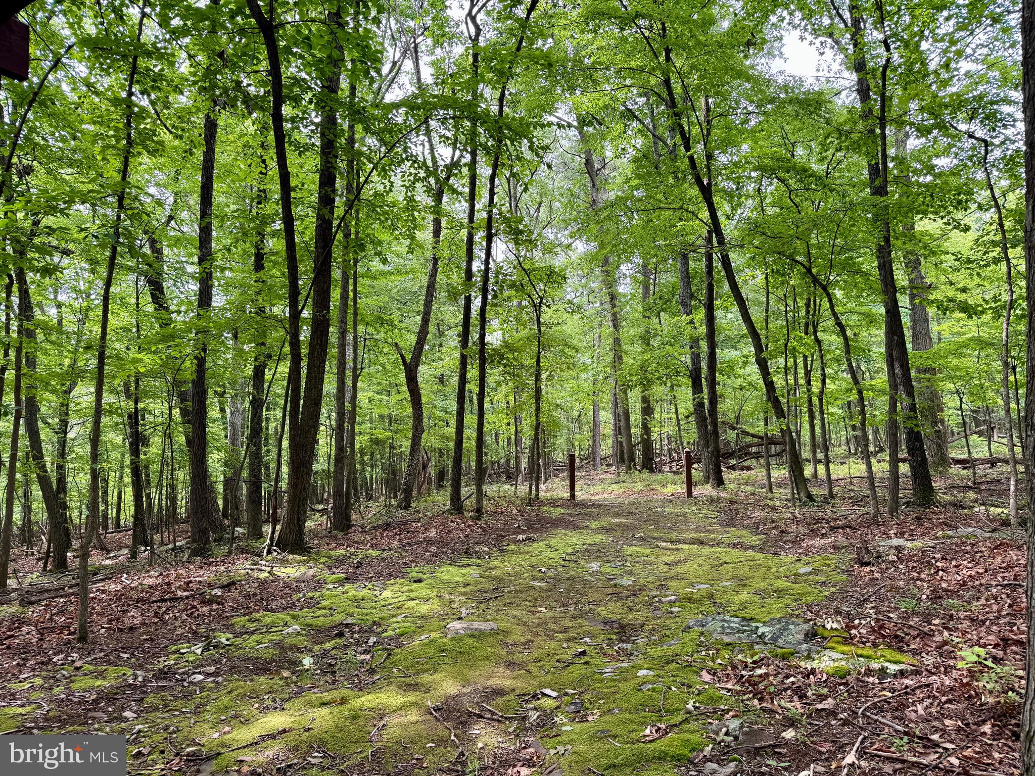 ROCK GAP WOODS - Residential