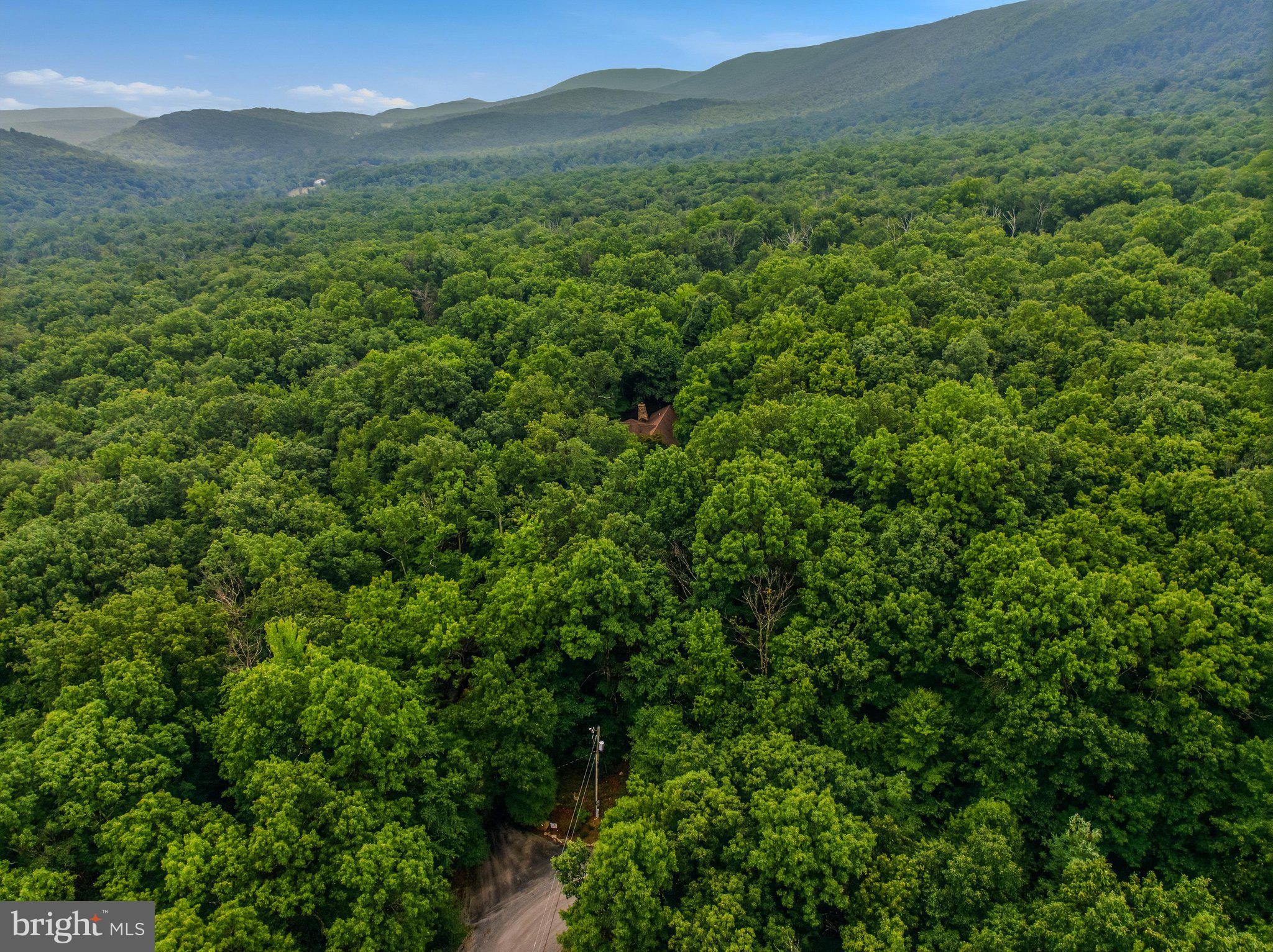 ROCK GAP WOODS - Residential